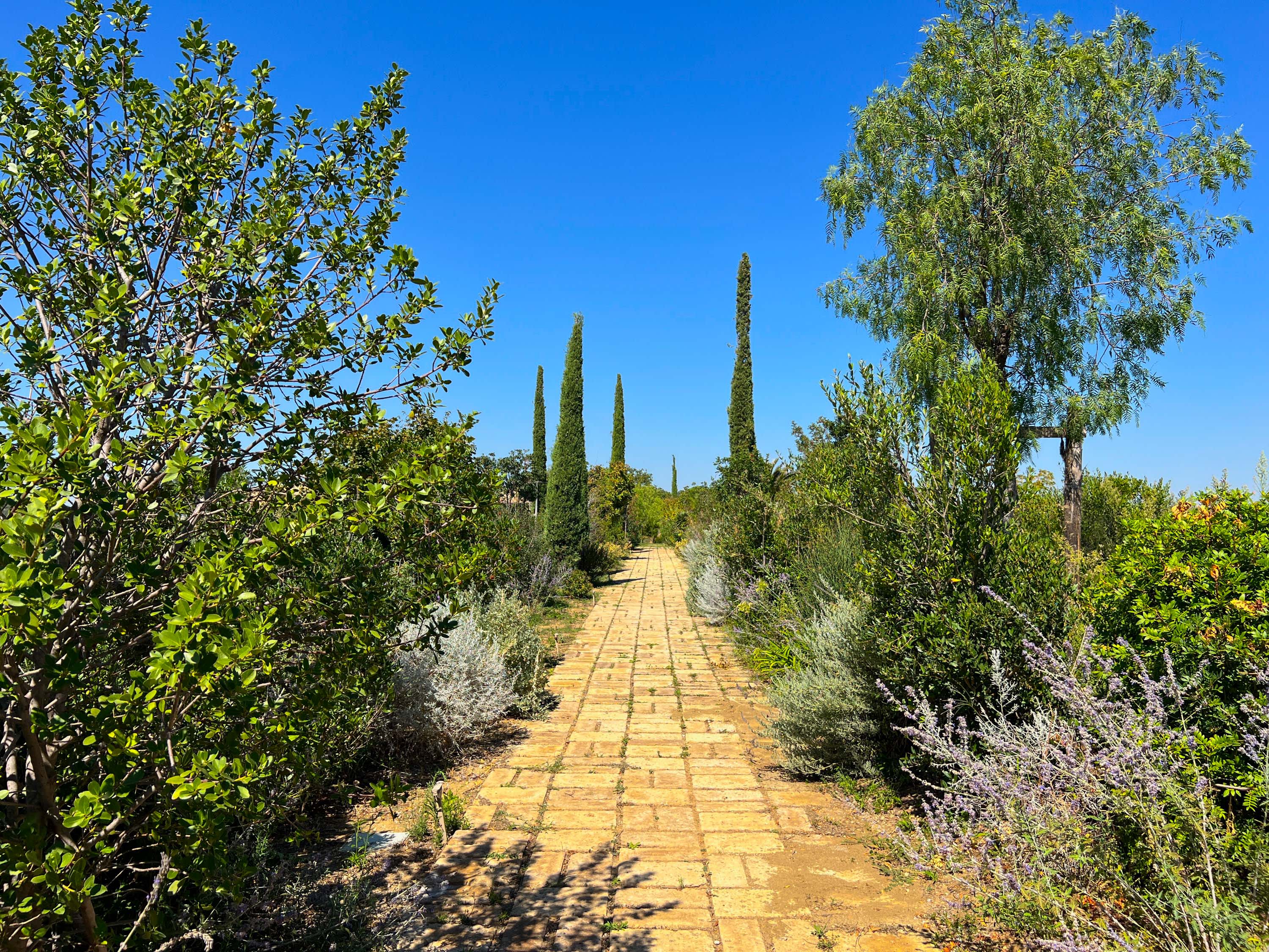 Maniero in Maremma - Image 64