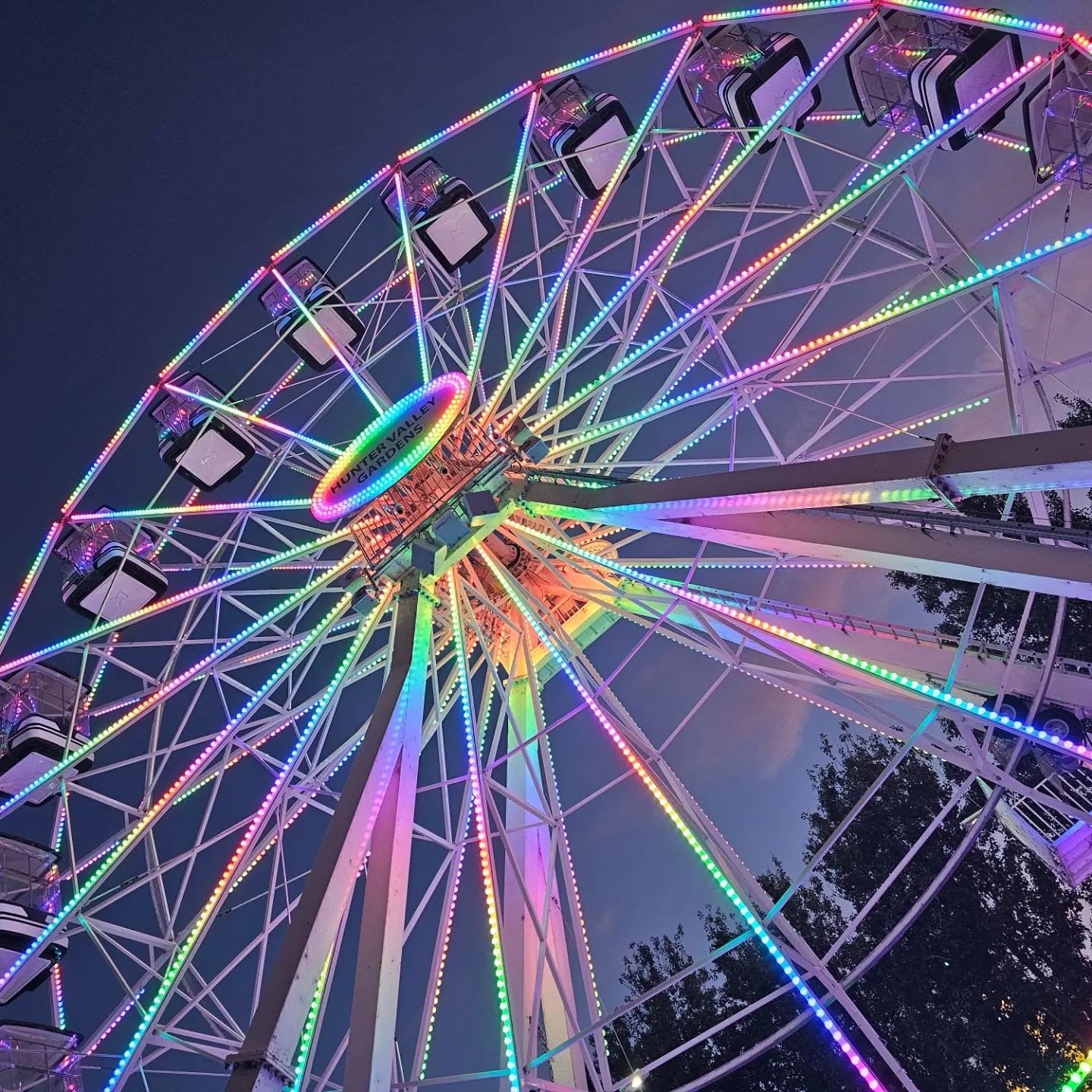 Hunter Valley Gardens - Ferris Wheel
