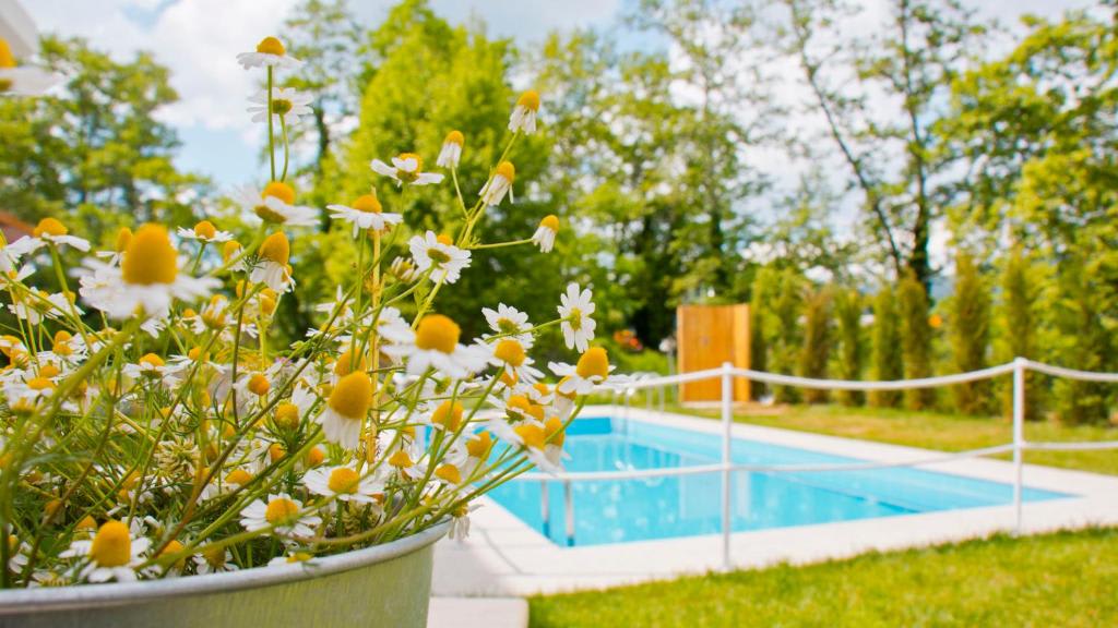 Aristotelia Gi Ikies - Cozy Poolside Suite — Olimpiada — vacation rental
