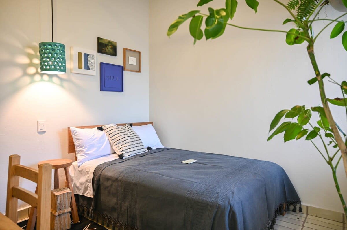 (9) Casa Kali by Barrio México — Guadalajara, Jalisco — vacation rental