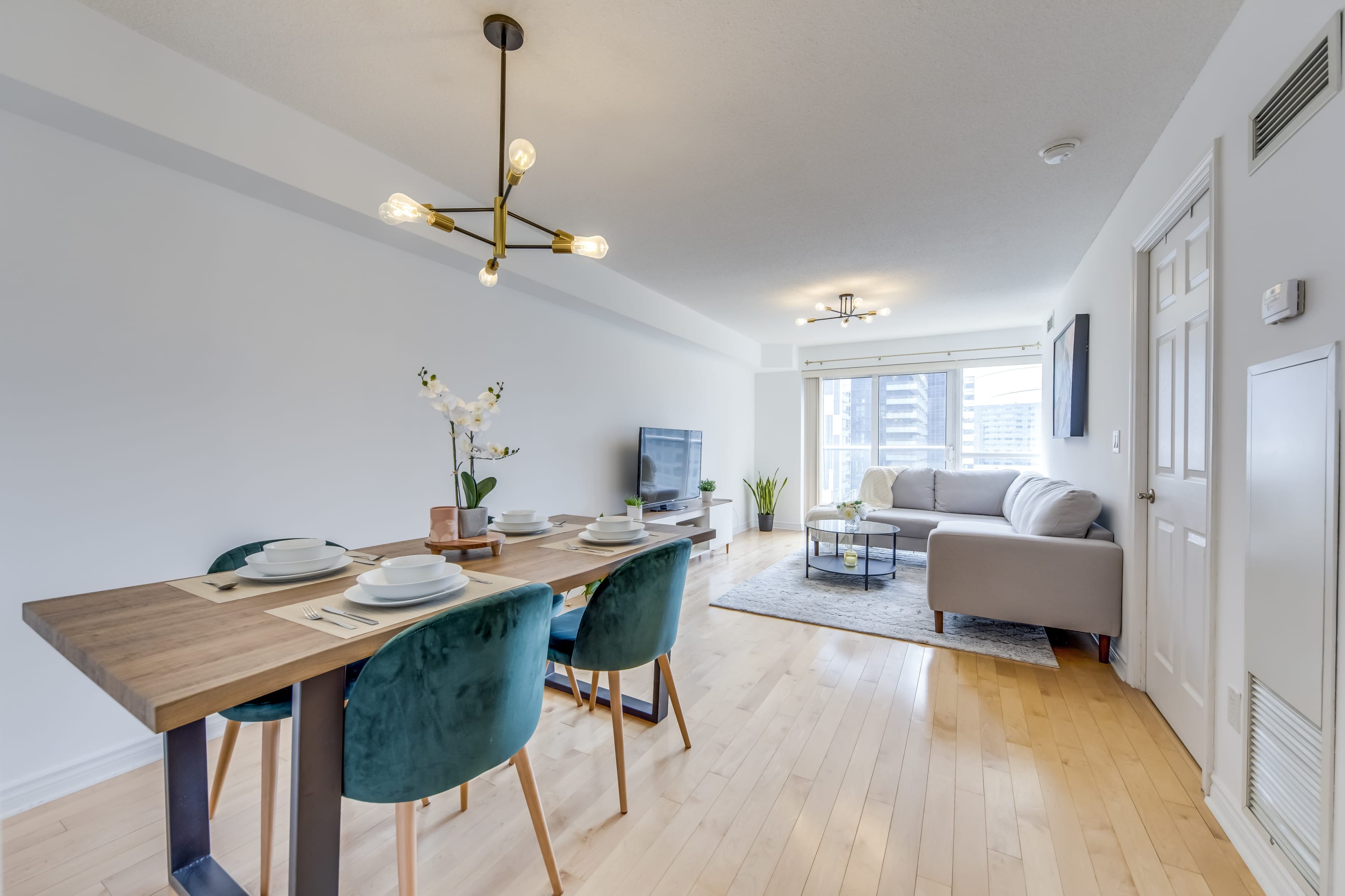 Serene Suite on Wellington