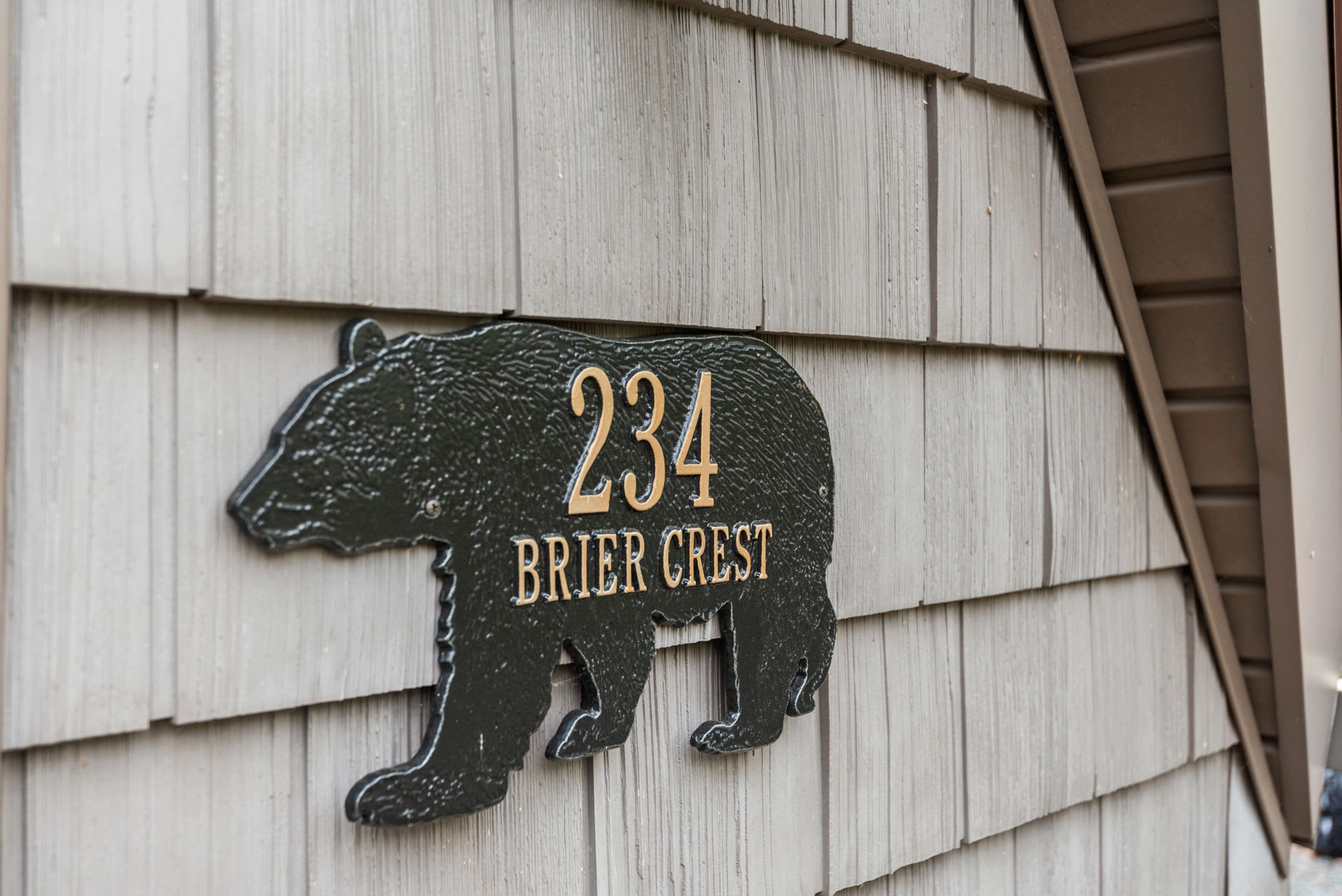 Welcome to our home at 234 Brier Crest! 