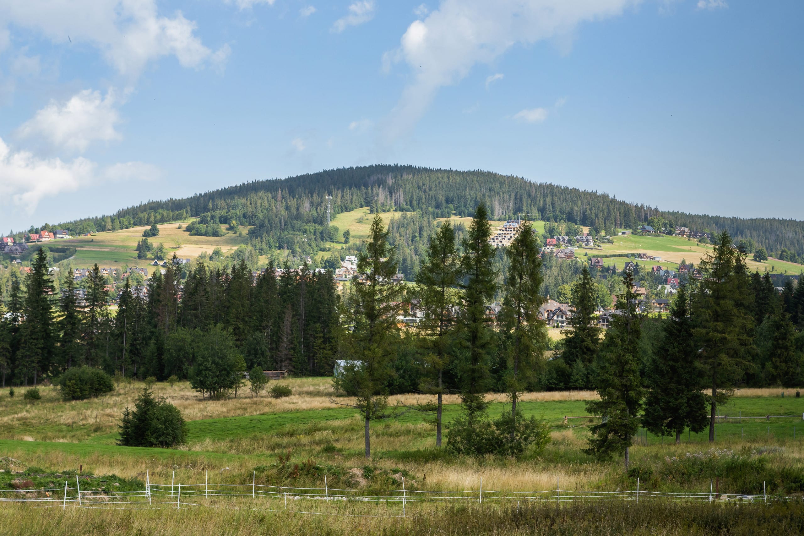 View 7