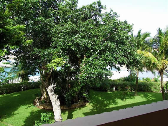 Chac Hal Al | Condo I-102 | 1BR | Puerto Aventuras — Puerto Aventuras, Quintana Roo — vacation rental