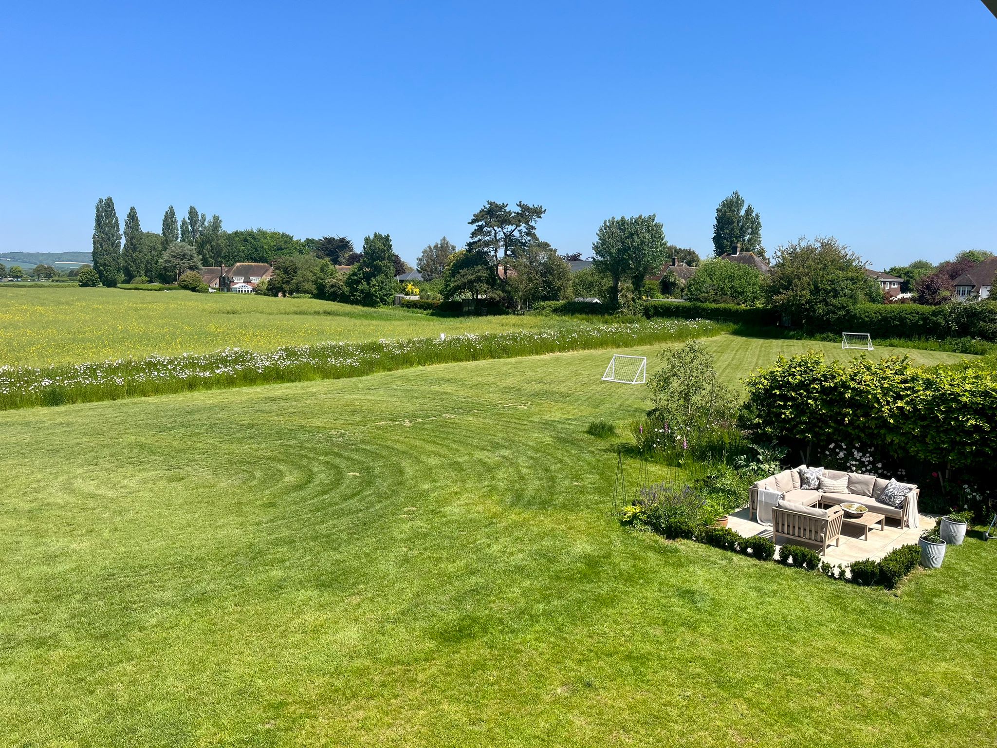 Run around and play on the lawn for as long as your heart desires