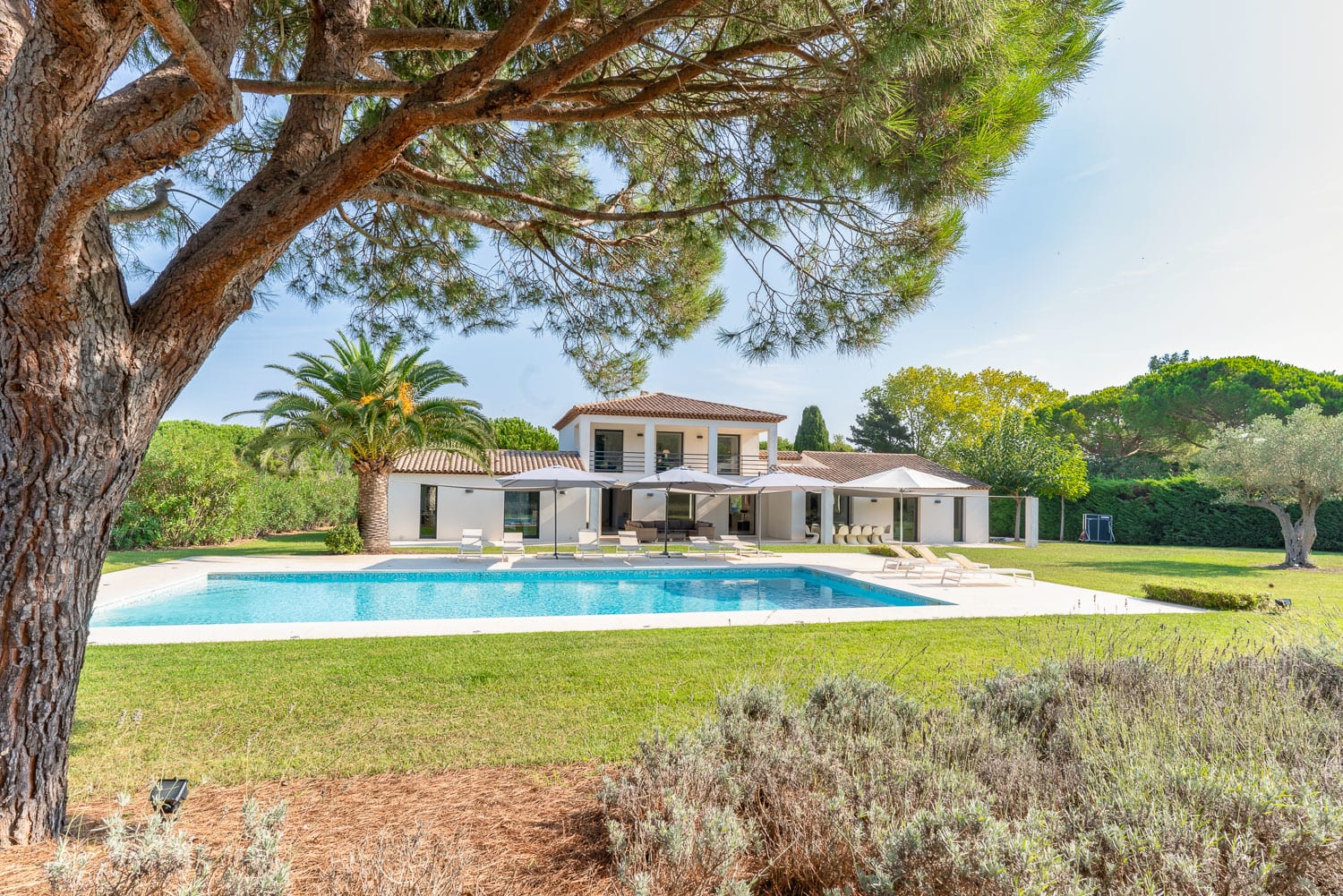 Location Villa Moka Saint-Tropez photo - 2