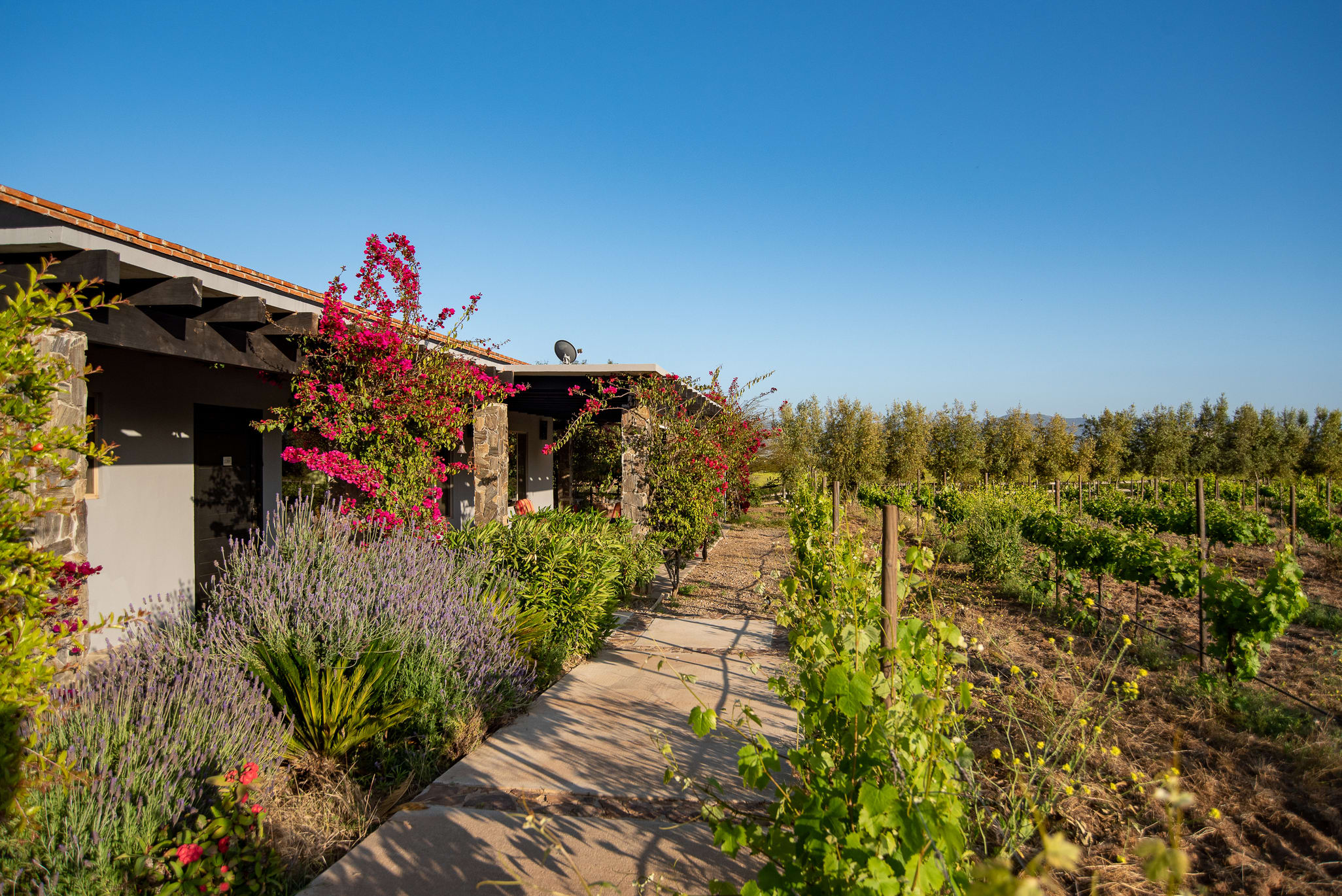 Atika Retreat Vinyard Villa