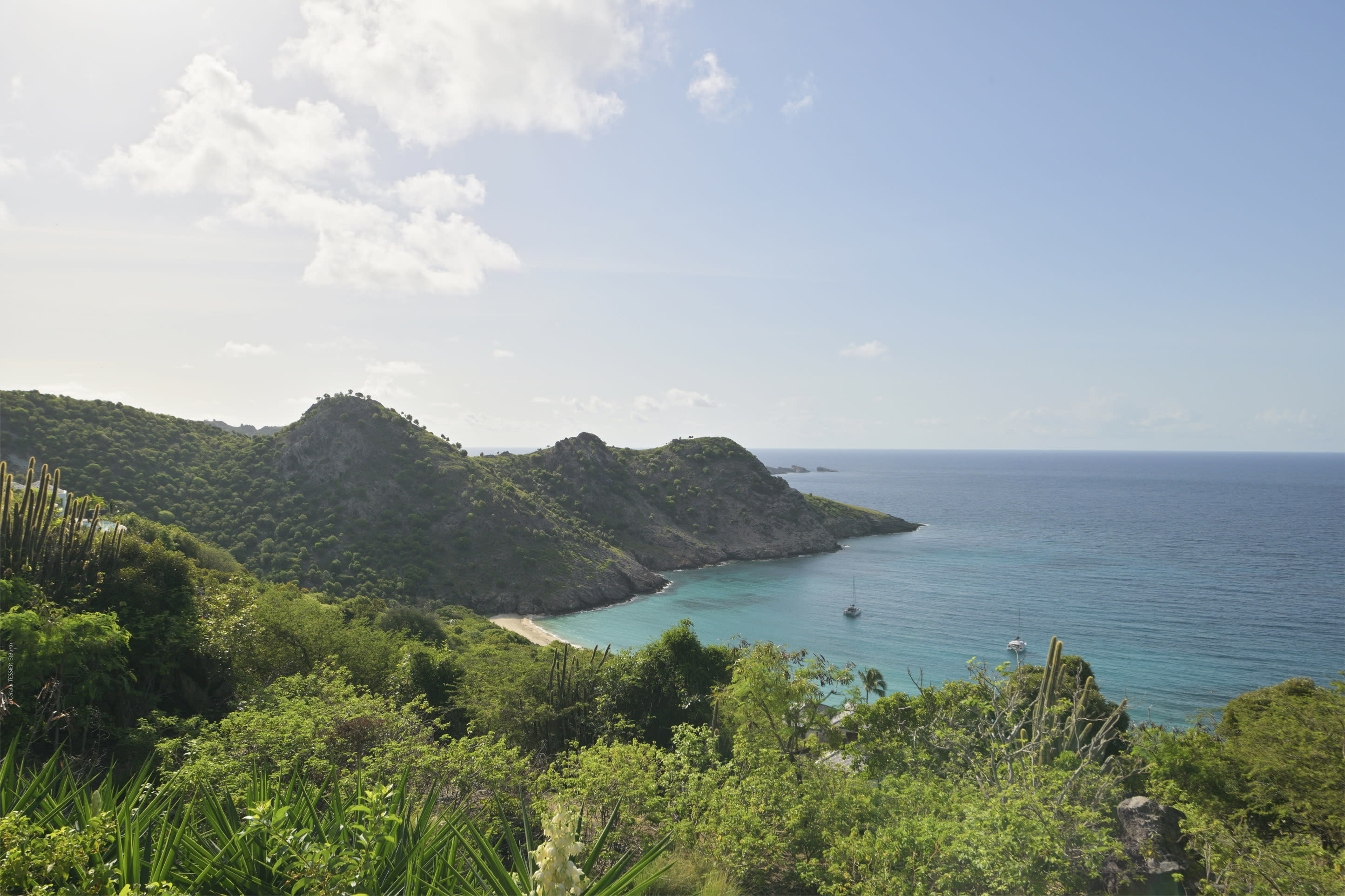View 10