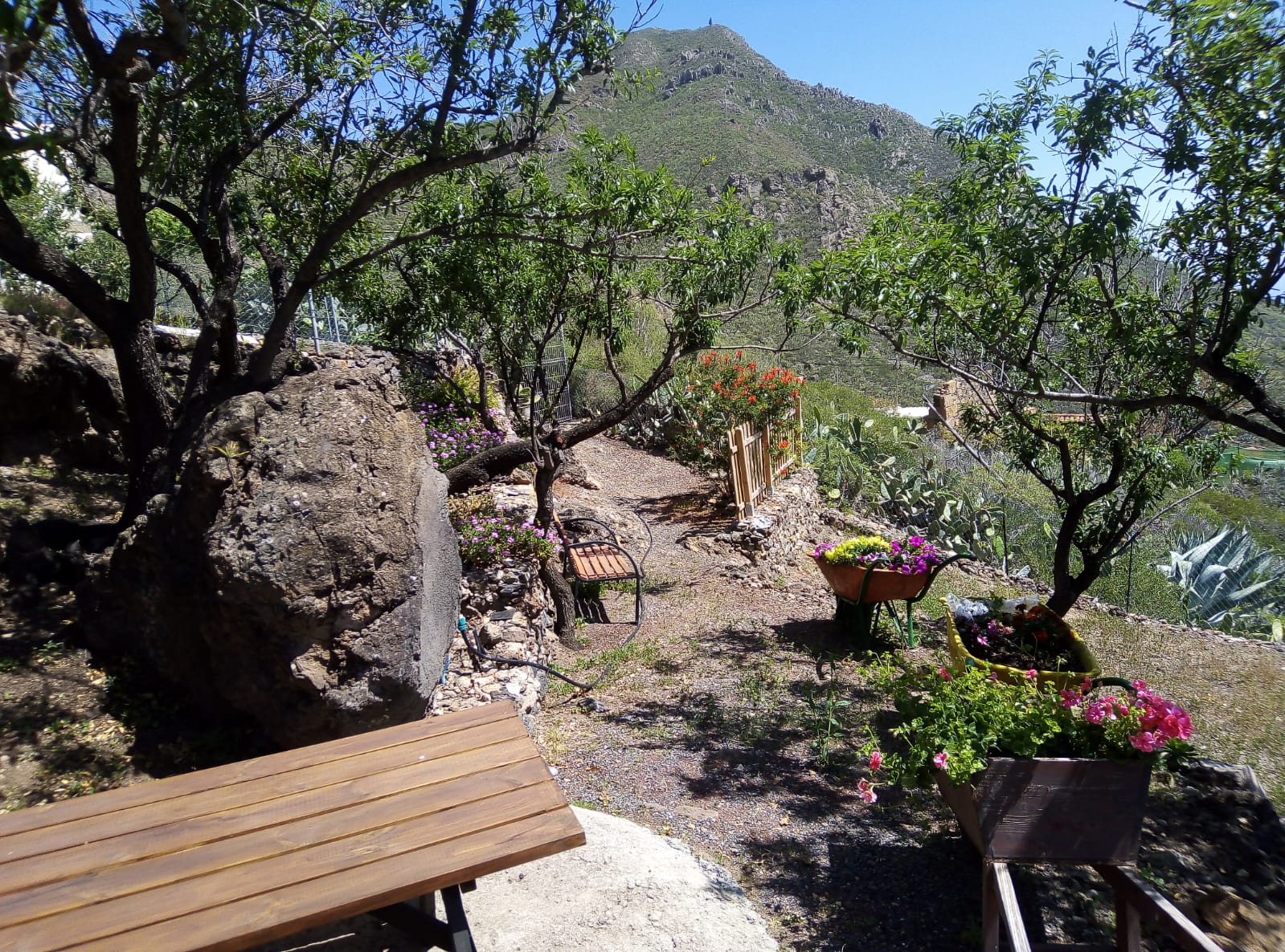 View 7