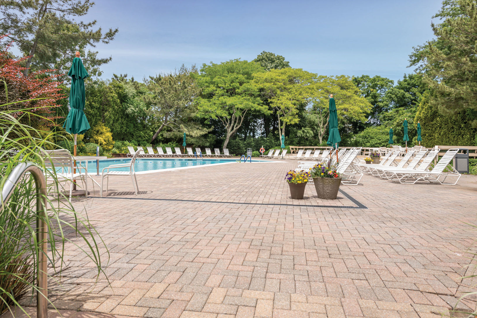 Community pool deck with lounge chairs, umbrellas, and flower planters.