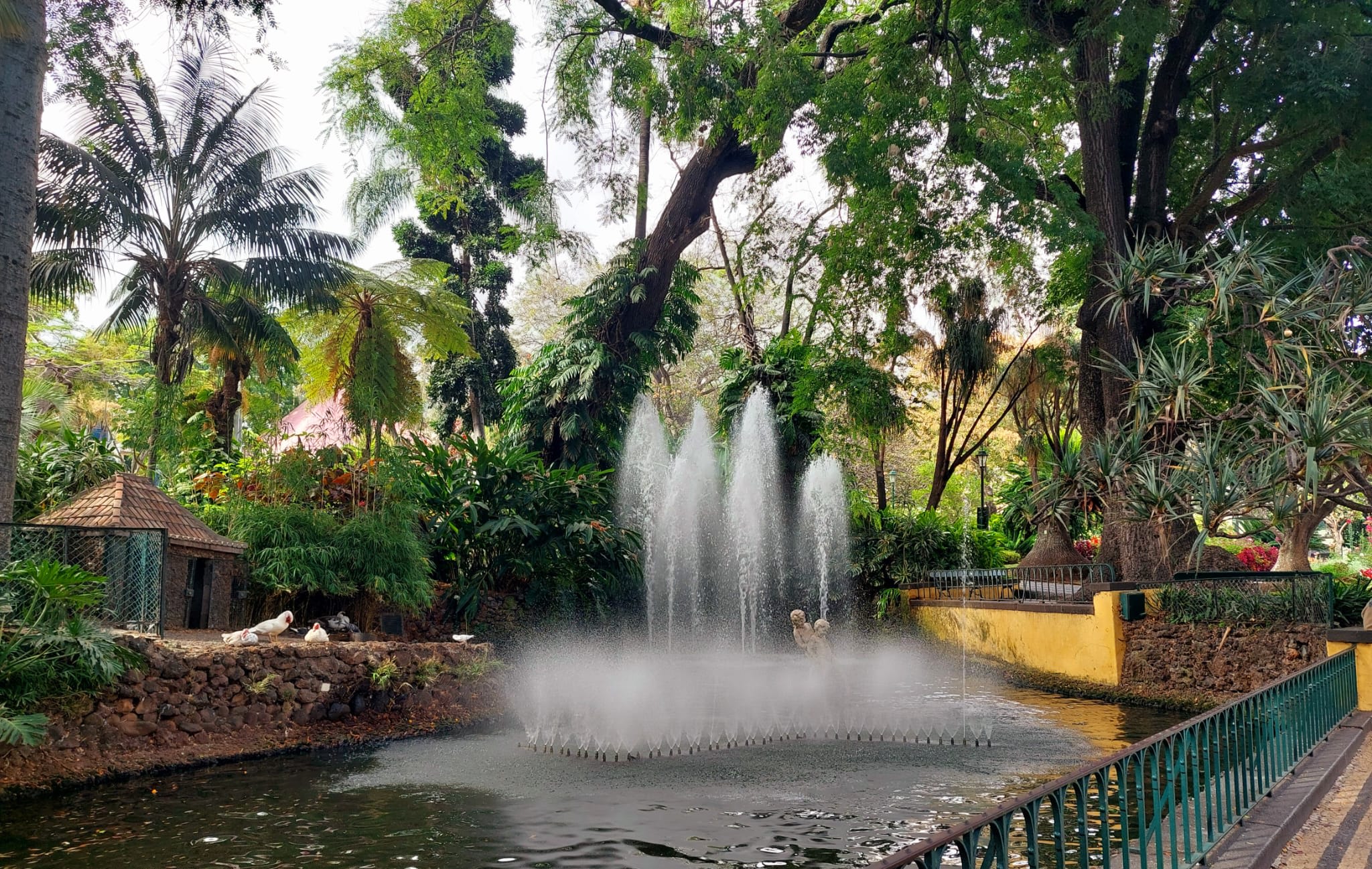 Property thumbnail 21