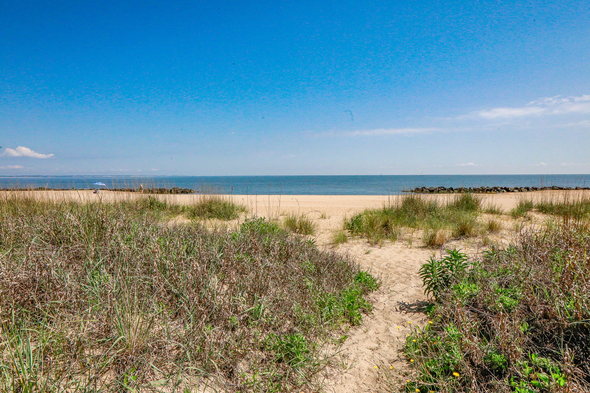 View 5