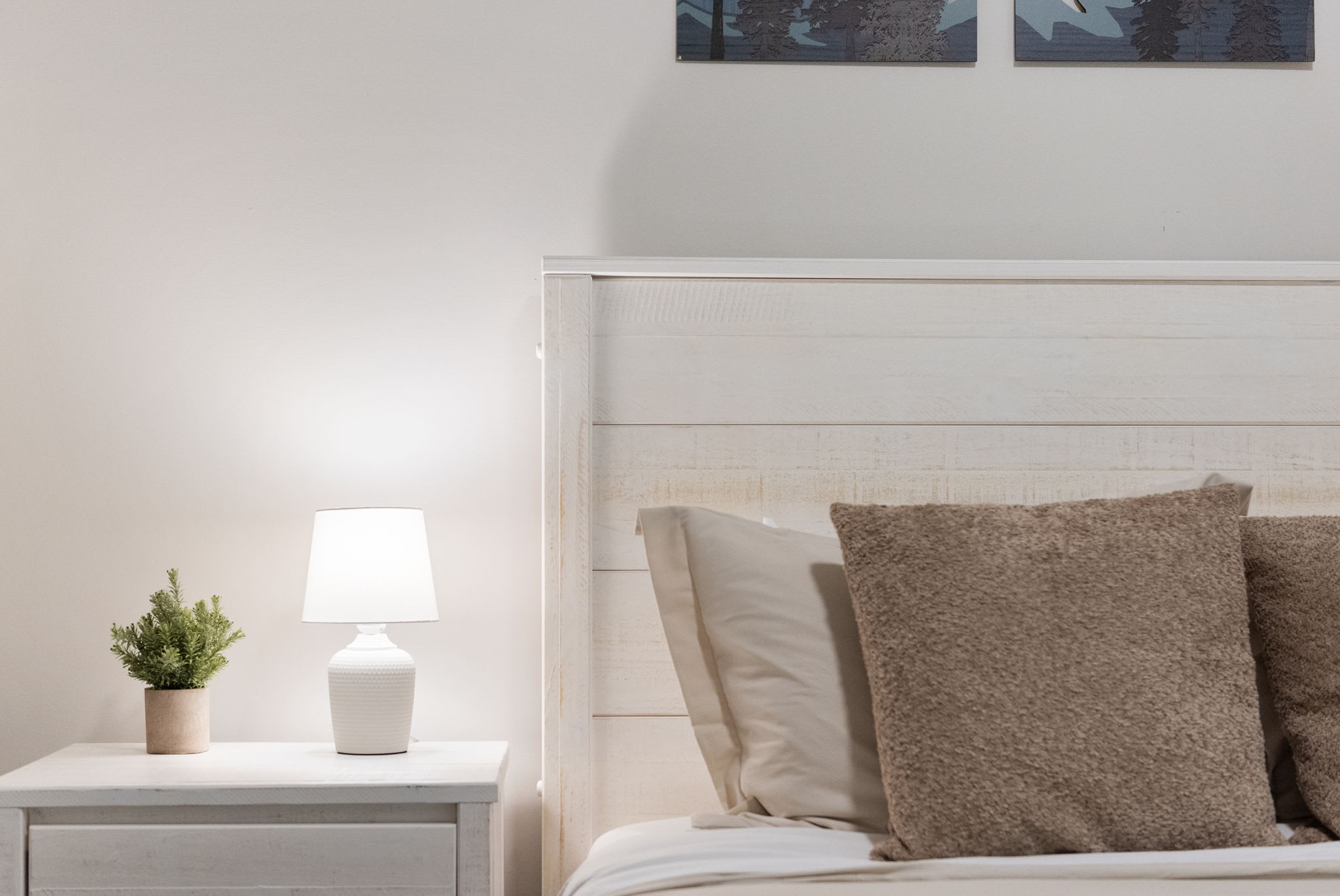 A cozy corner with a warm lamp and small plant that bring just the right amount of calm to the space.