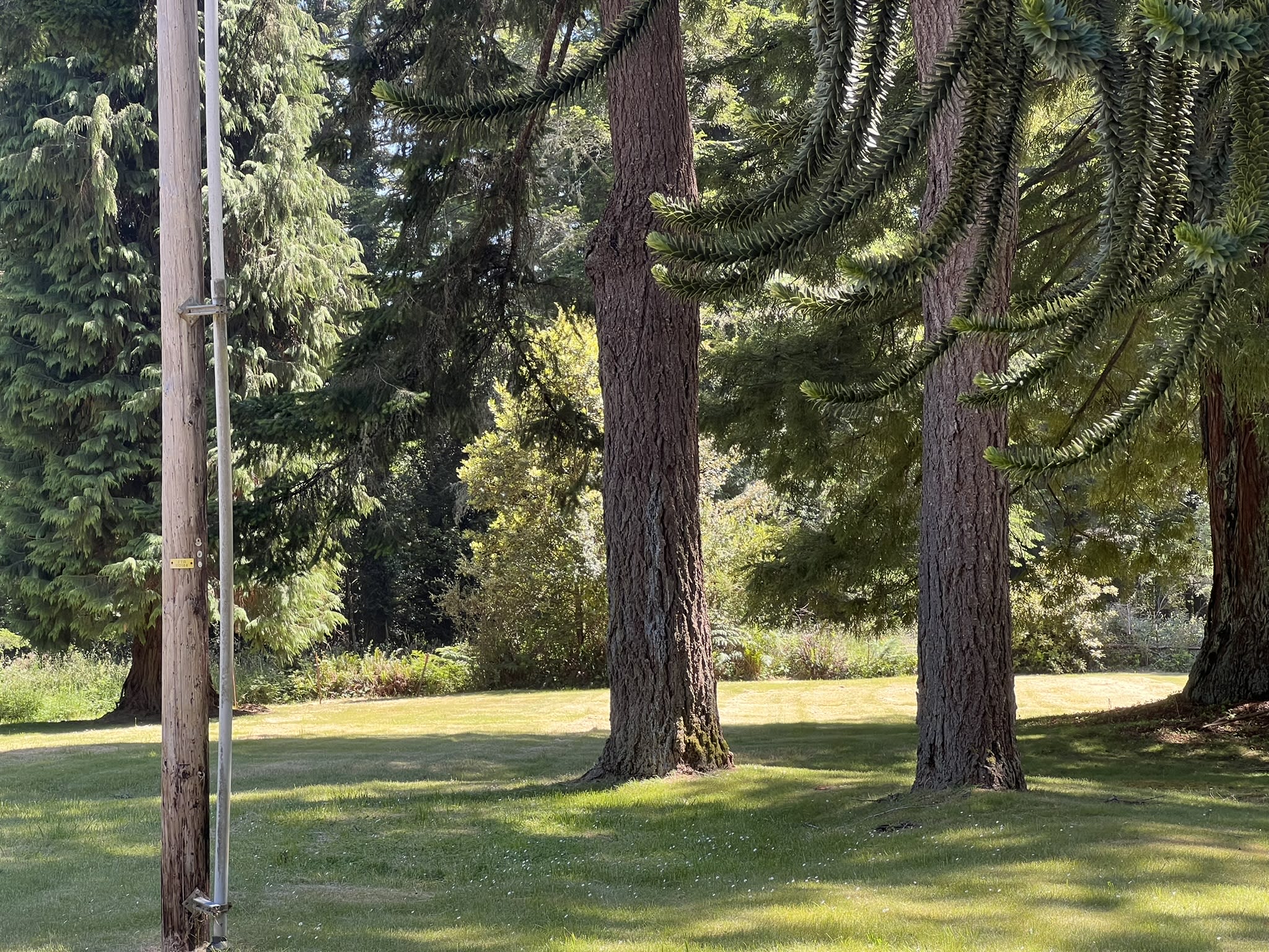 Peace & Quiet at the Dodge House — Brookings, OR — vacation rental