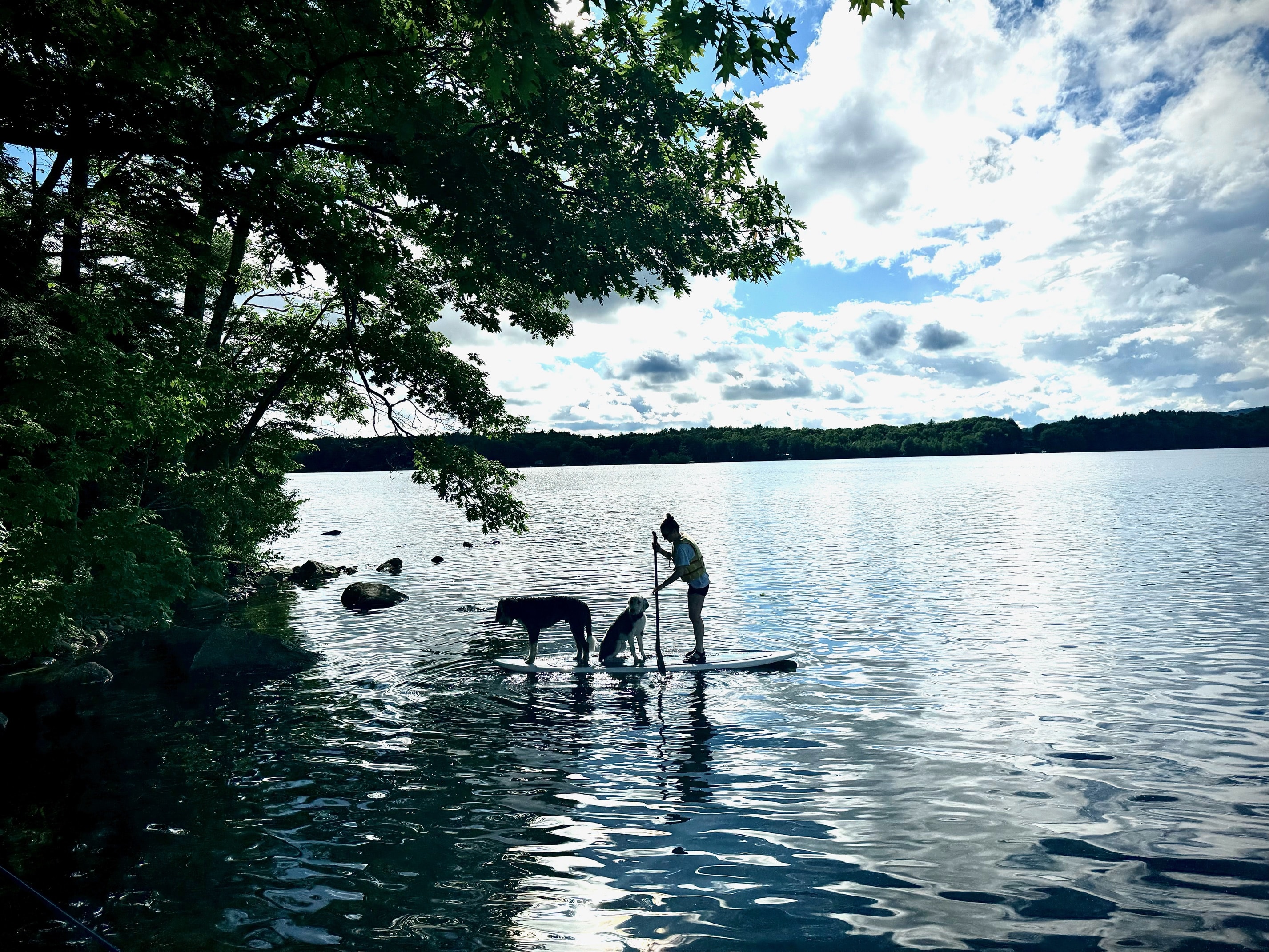 Stand-up paddle board, canoe, or kayak.