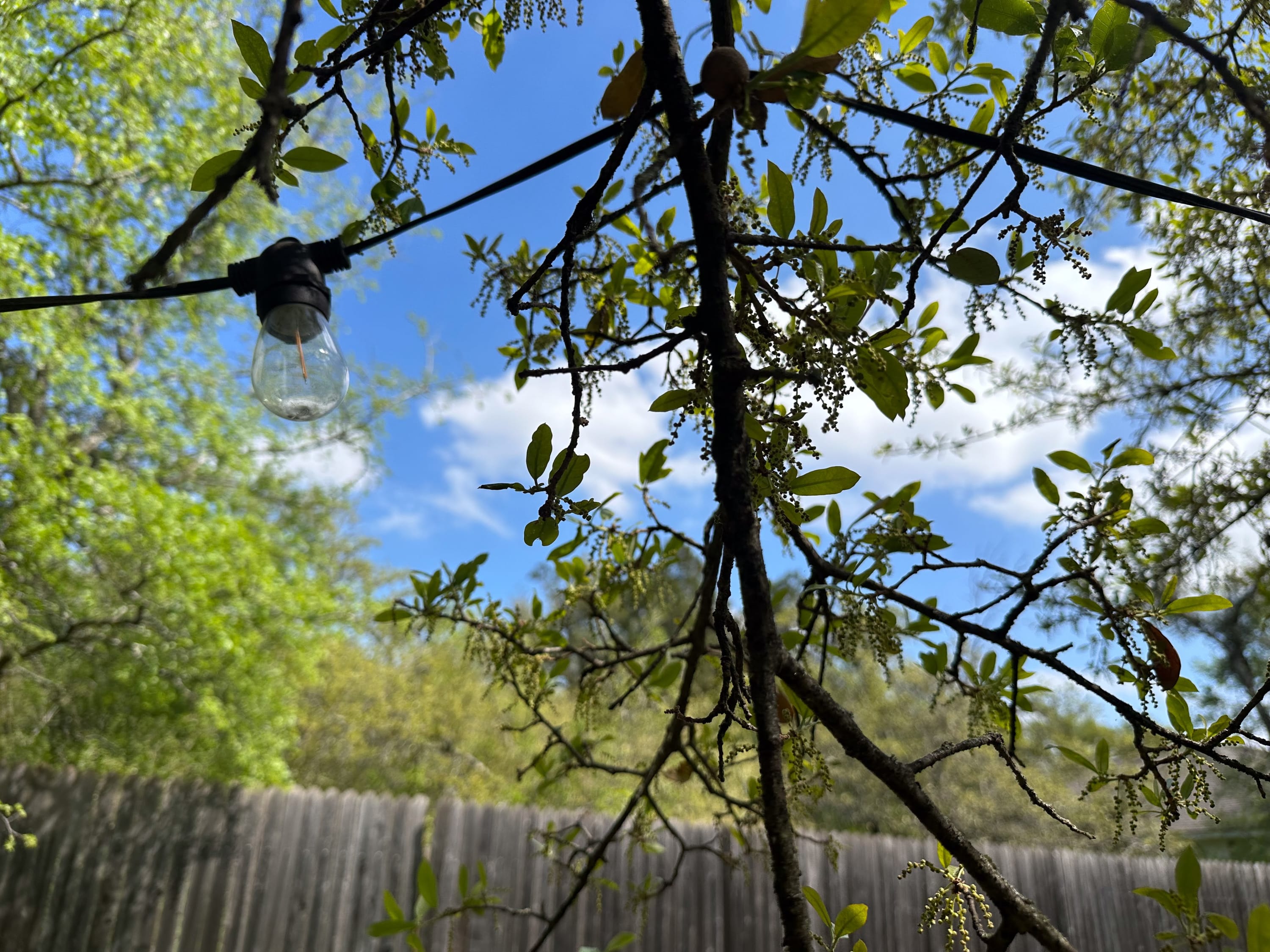 King Bed, Pet-Friendly, North Austin, Pool