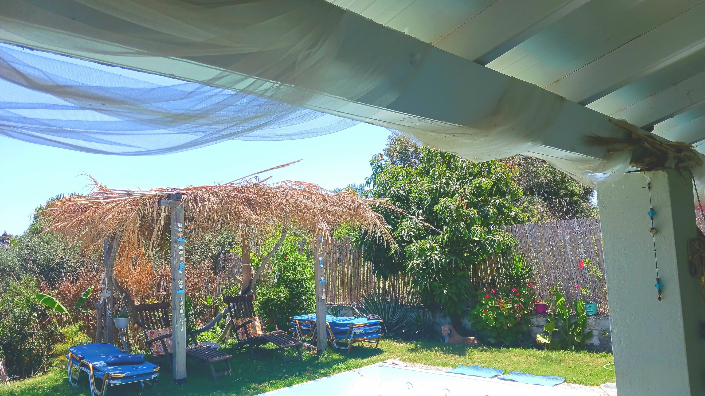 View 5