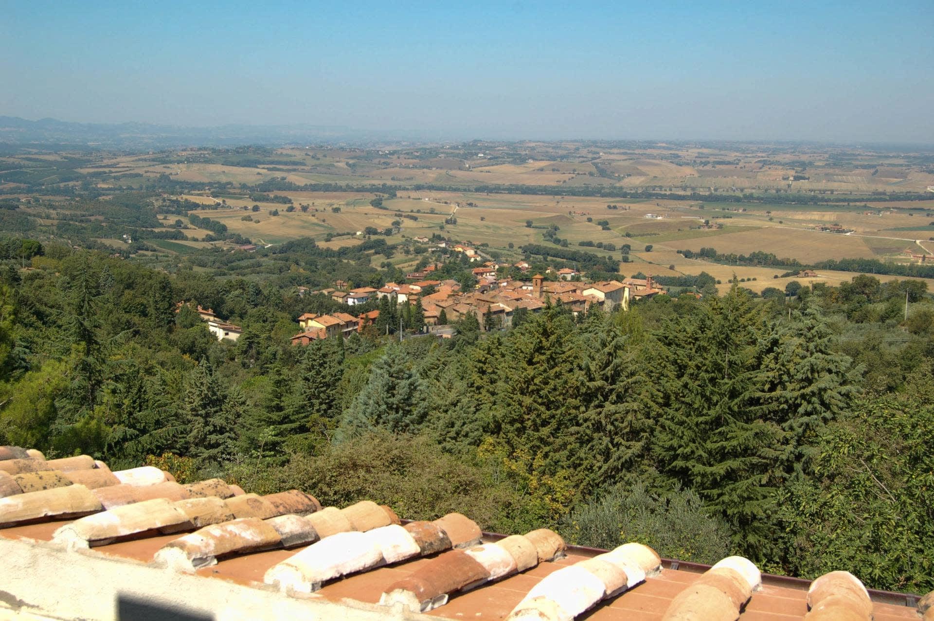 View 7