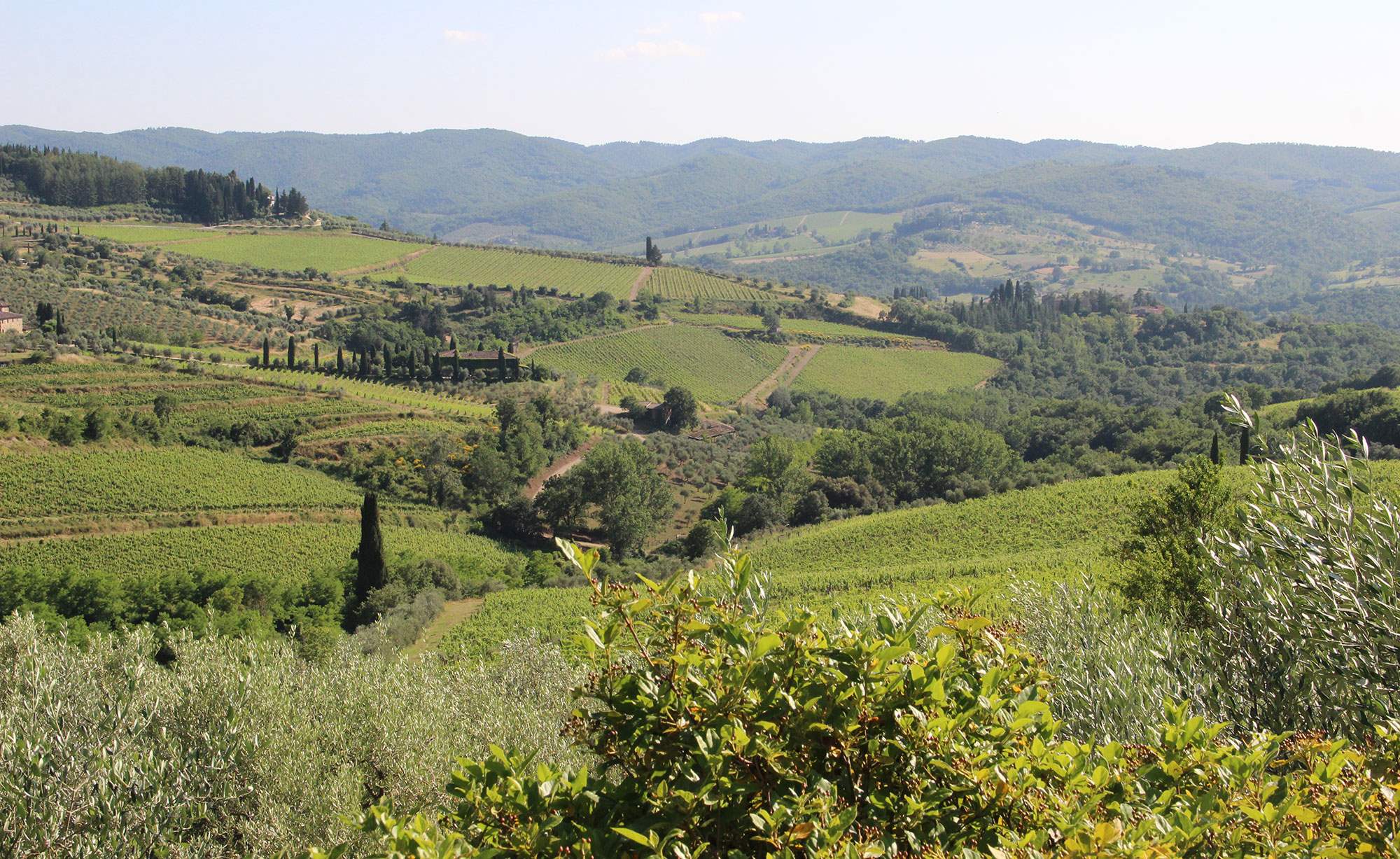 View 8