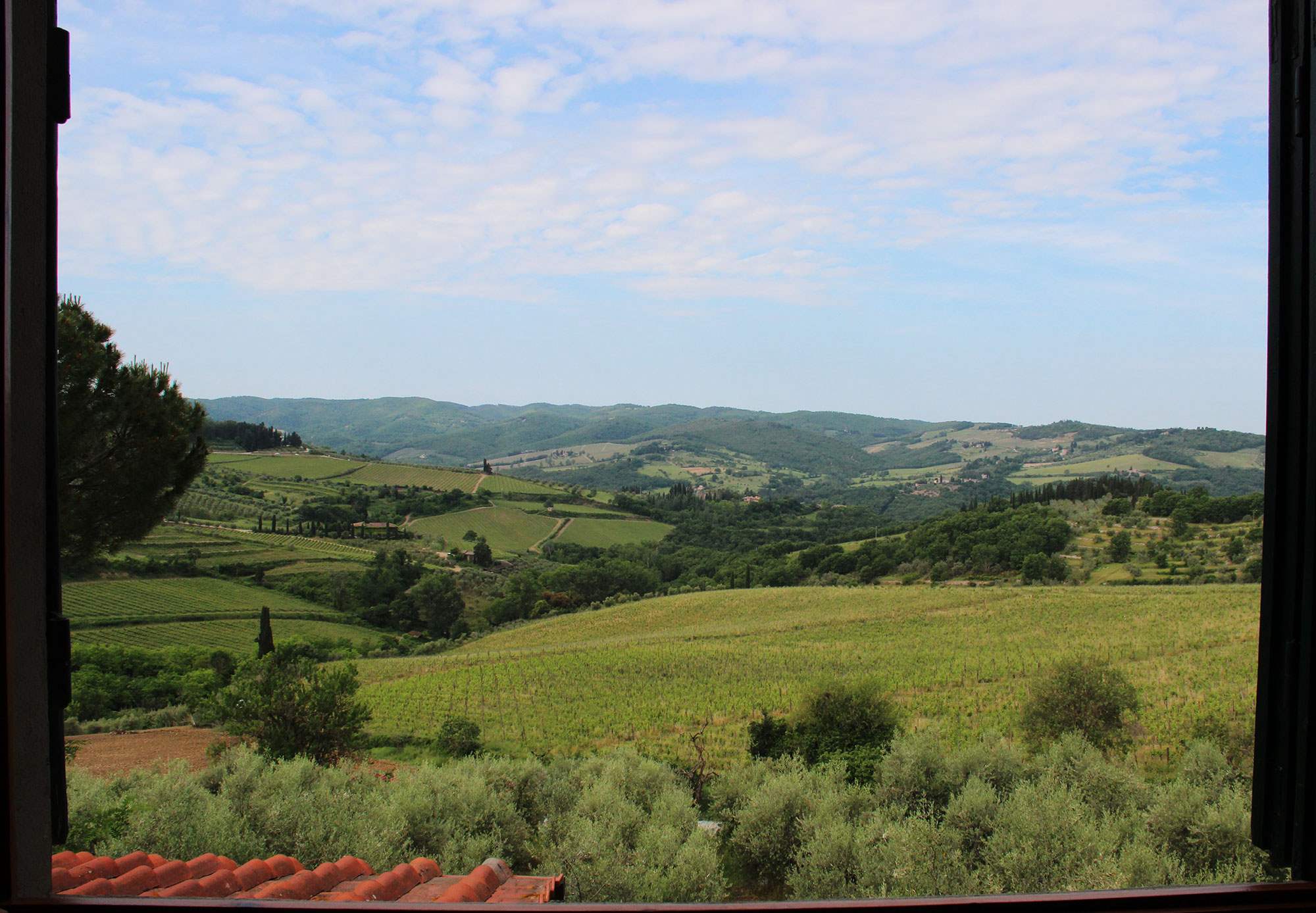 View 7