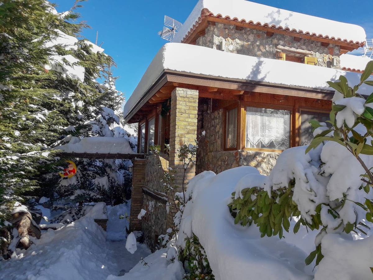 Livadi Chalet Arachova The perfect family vacation in Arachova — photo 1