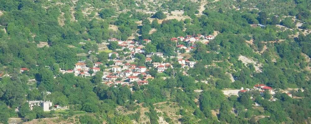 View 10