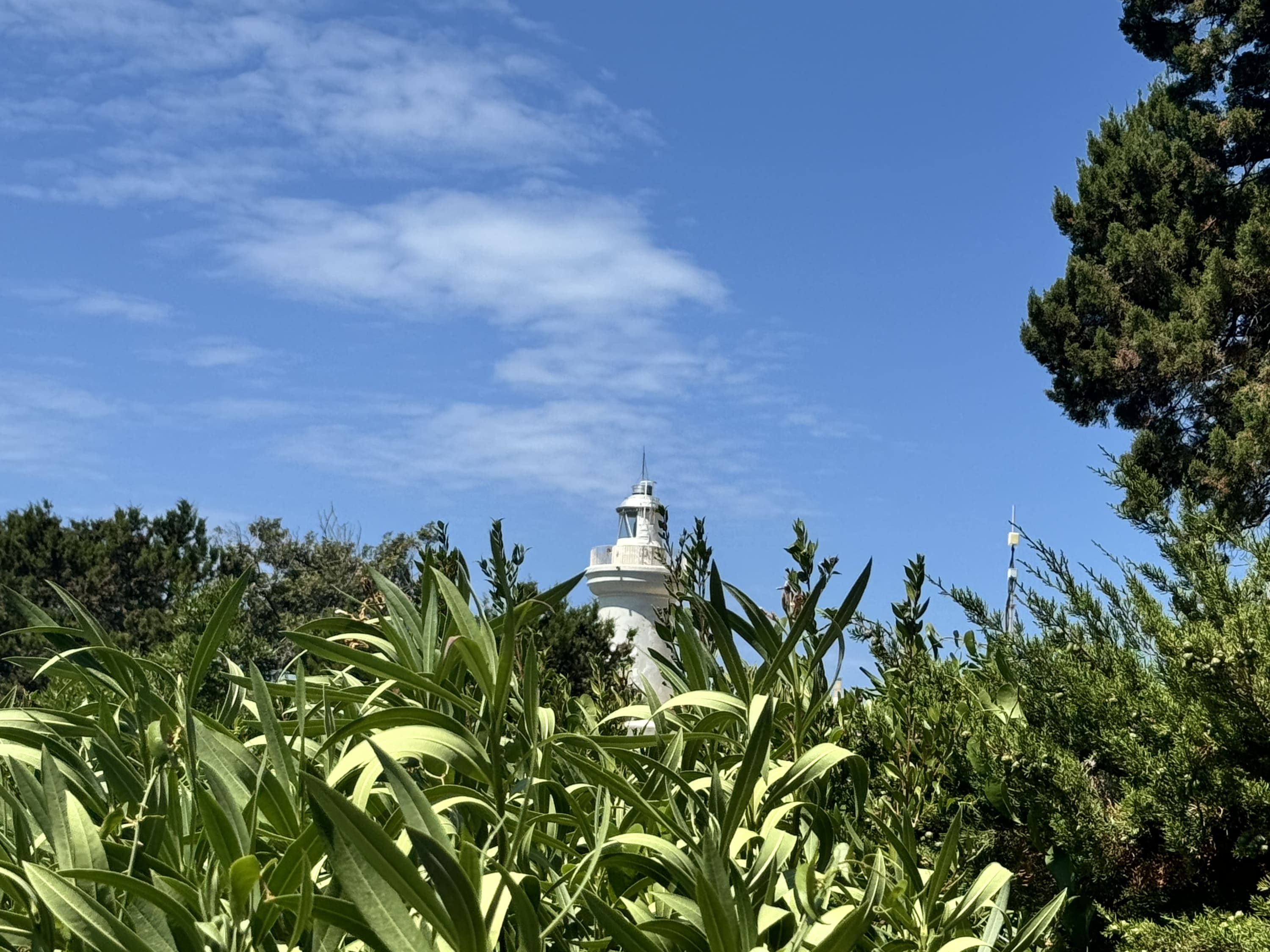 Nido di San Felice - Image 15