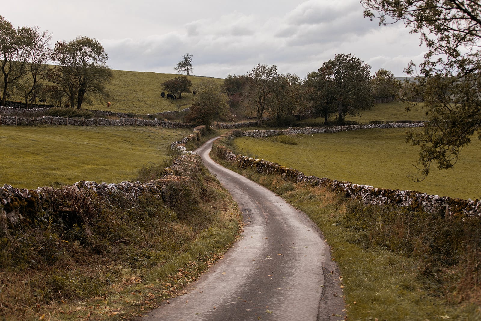 Elegant Stone Barn in Yorkshire Dales - Picture 28