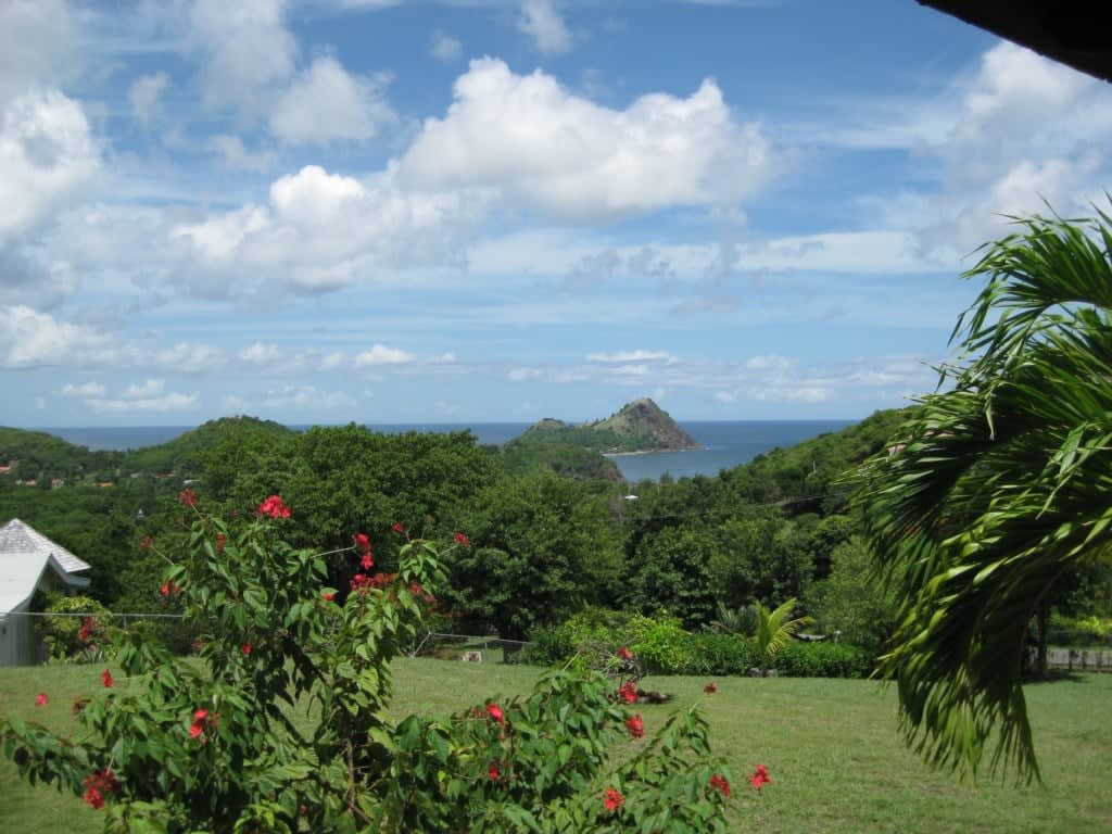 View 6