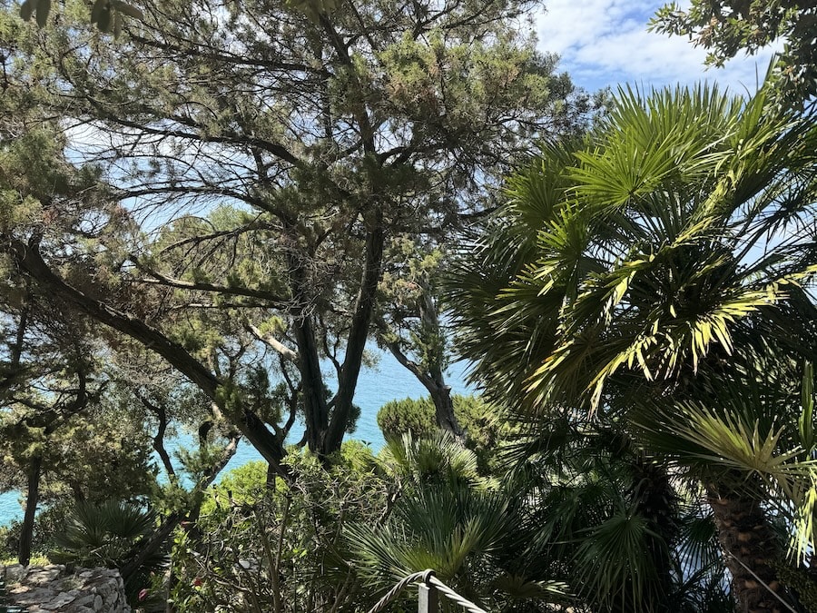 Nido di San Felice - Image 20