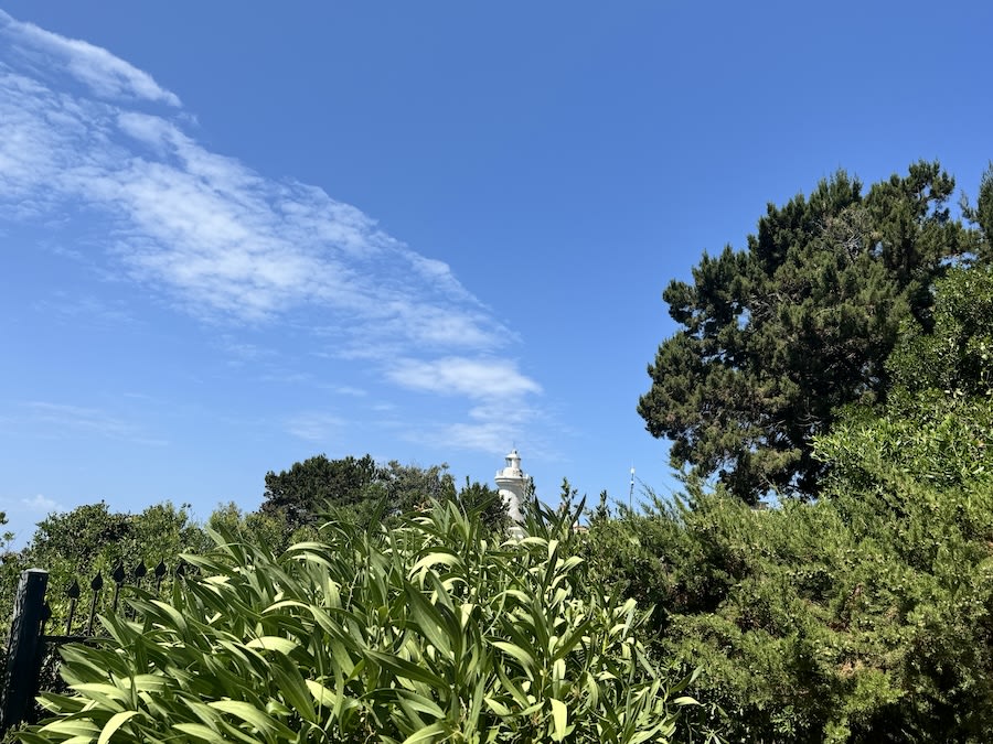 Nido di San Felice - Image 29