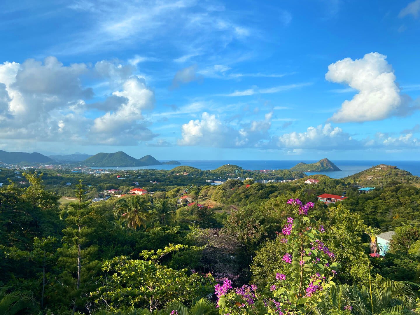 View 6