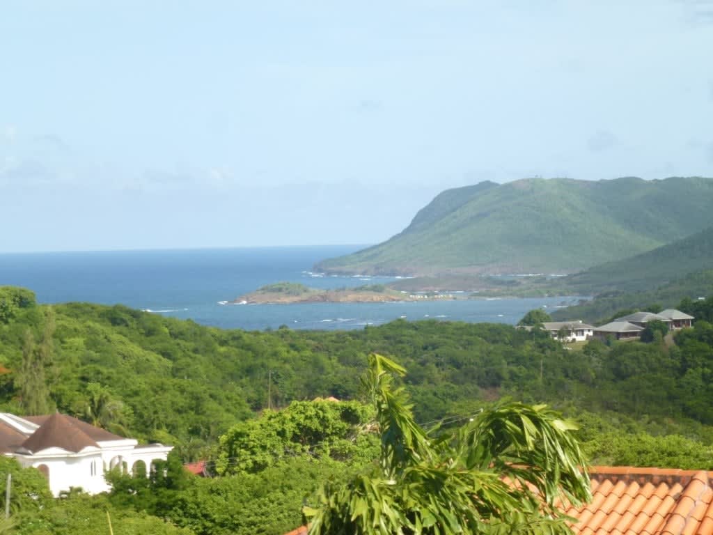 View 5