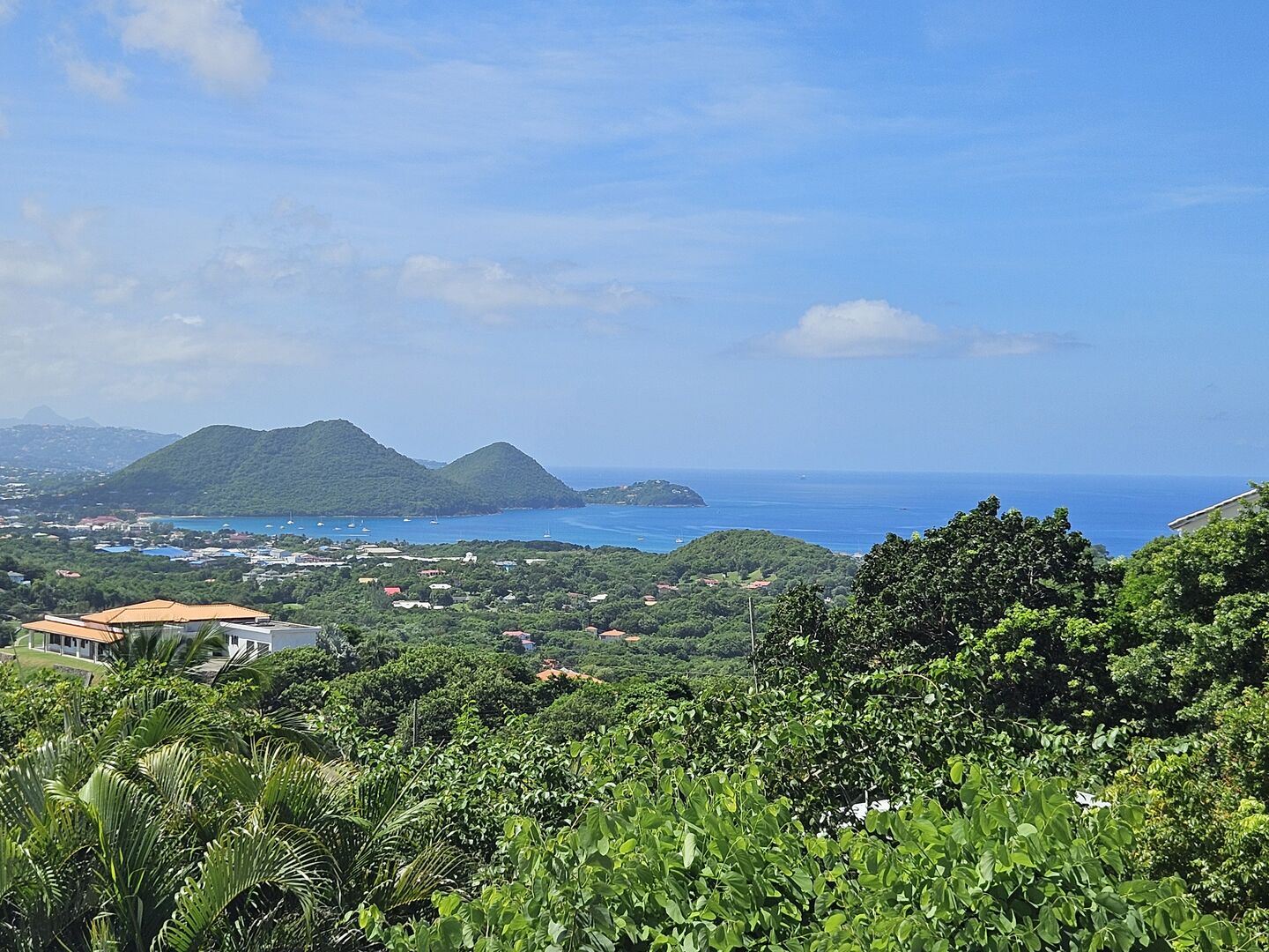 View 5