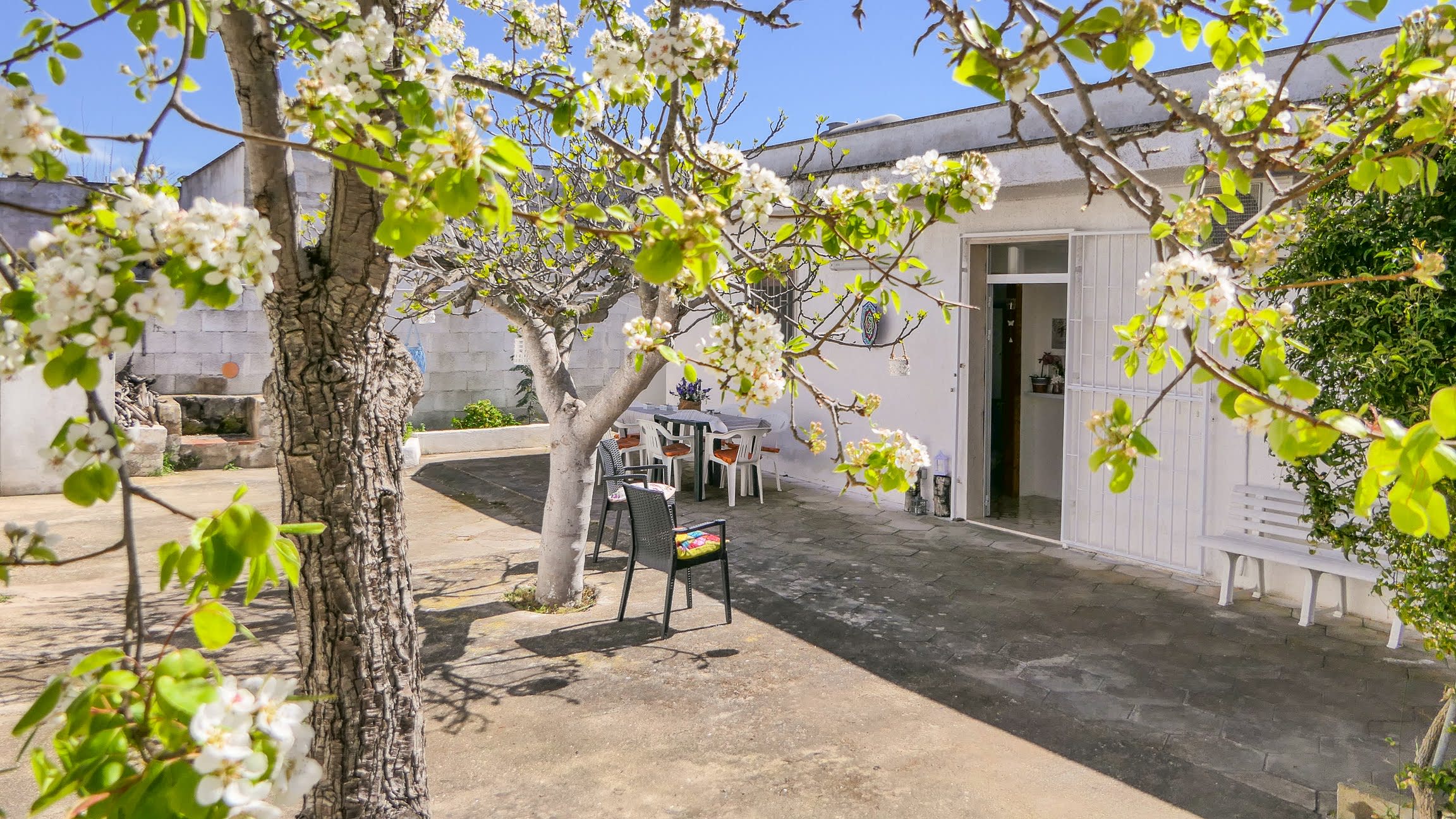 Villetta Adele con piscina a 180 mt dal mare di Punta Prosciutto — Punta Prosciutto, Puglia — vacation rental