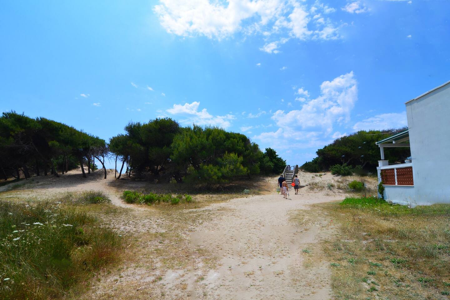 View 4