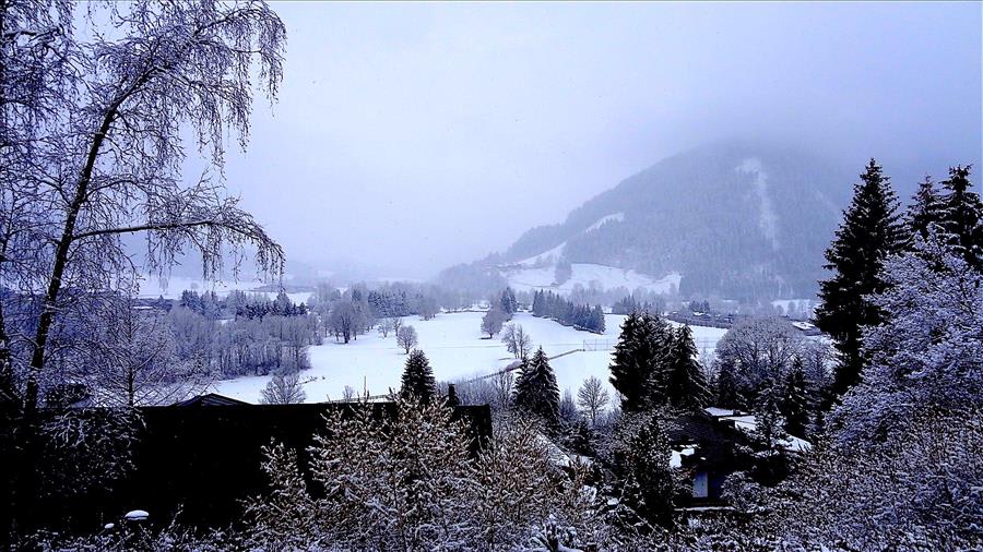 Property thumbnail 37