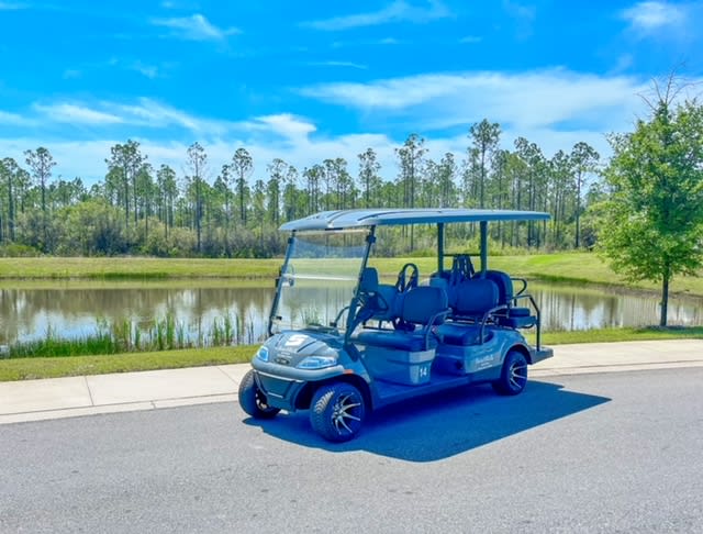 6 (six) Seater Electric Golf Cart