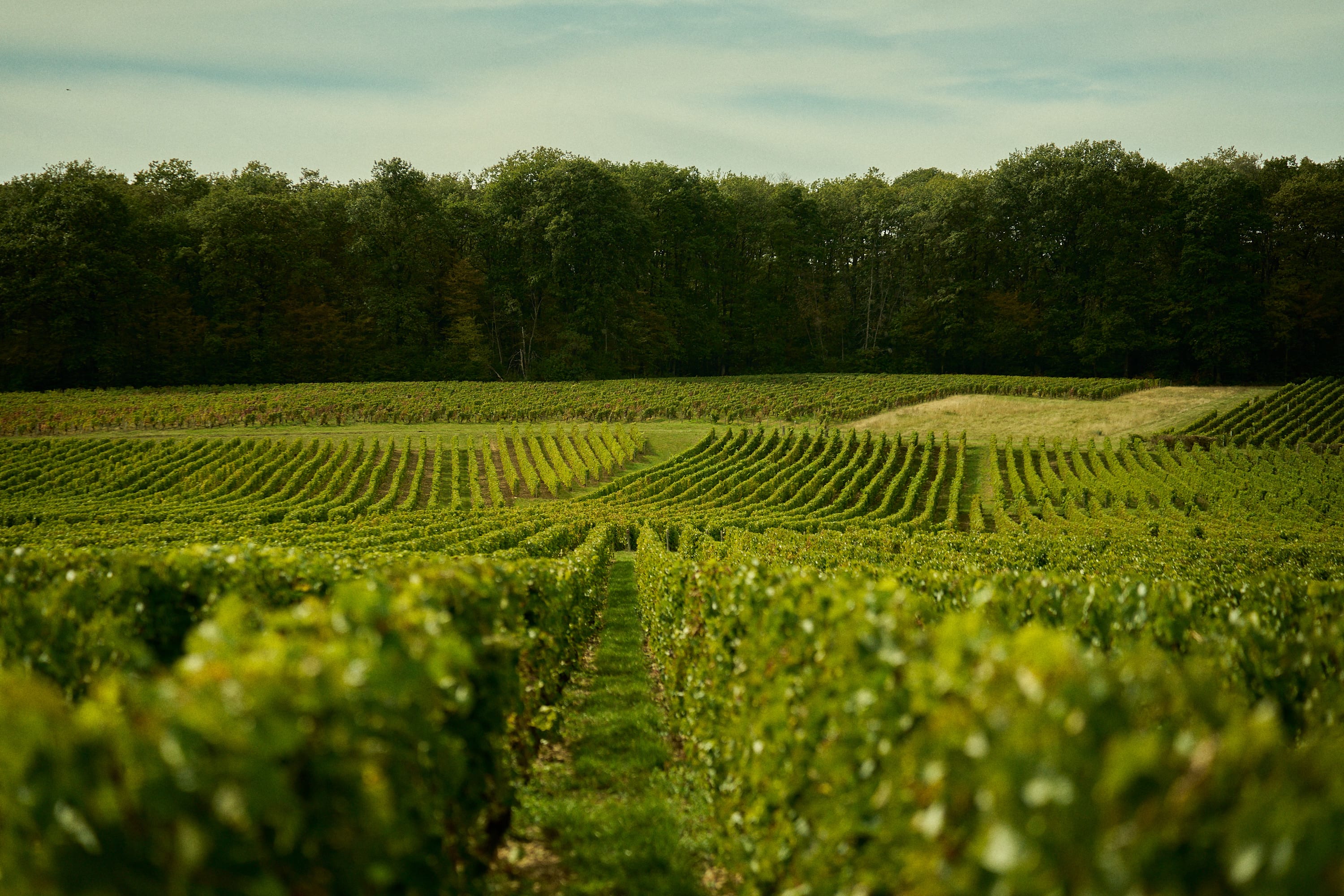 Château de Thauvenay - Image 2