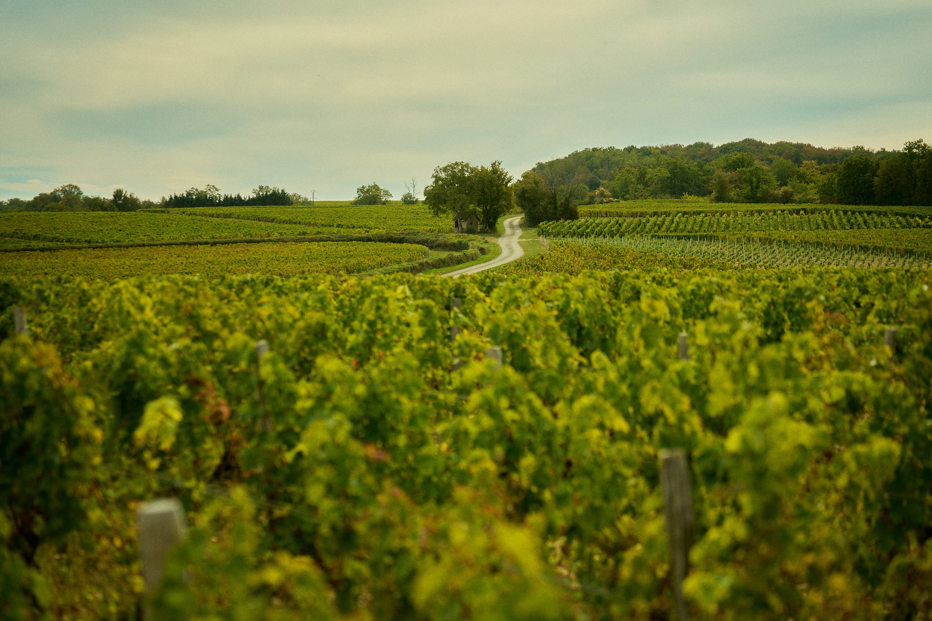 Château de Thauvenay - Image 16