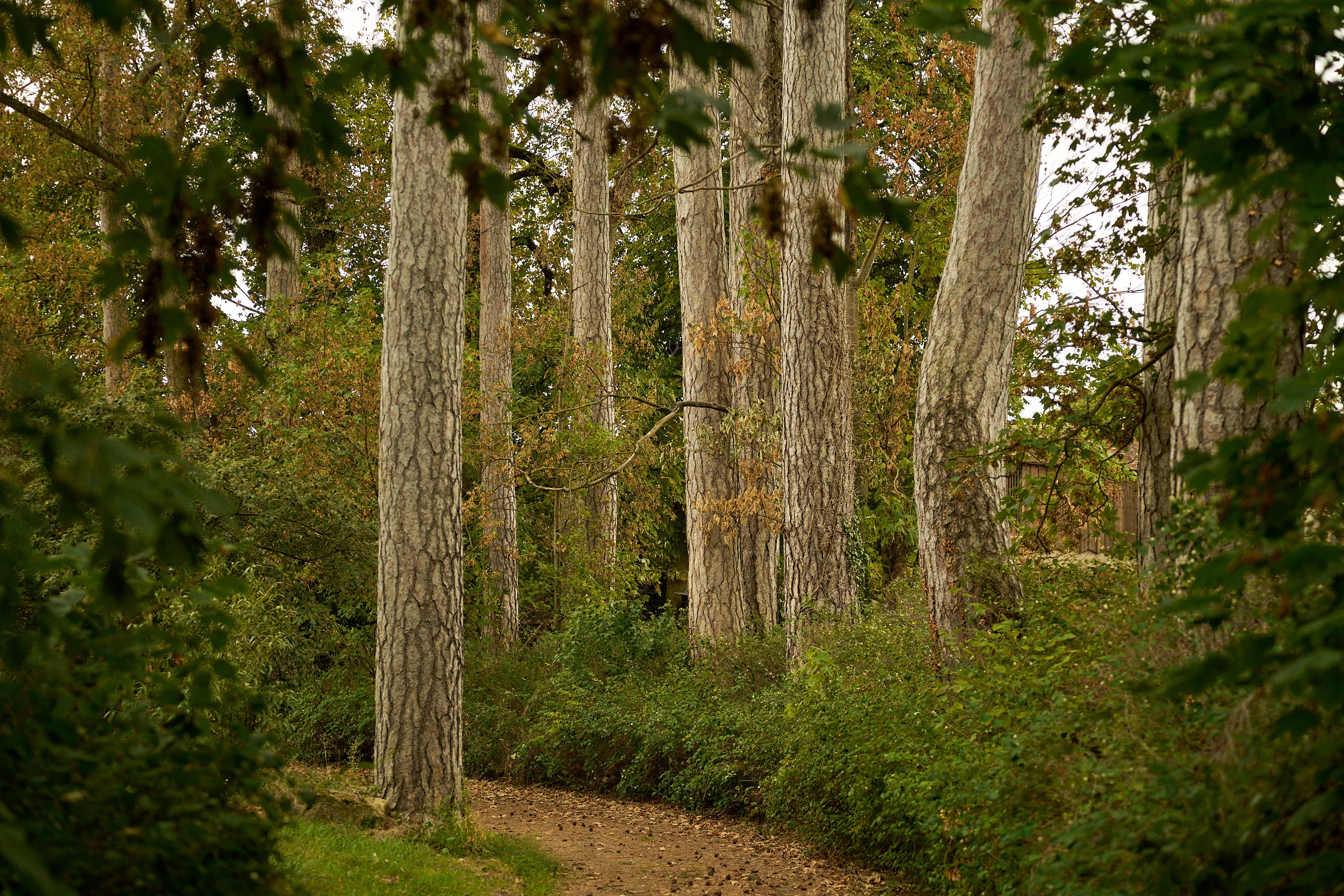 Château de Thauvenay - Image 18