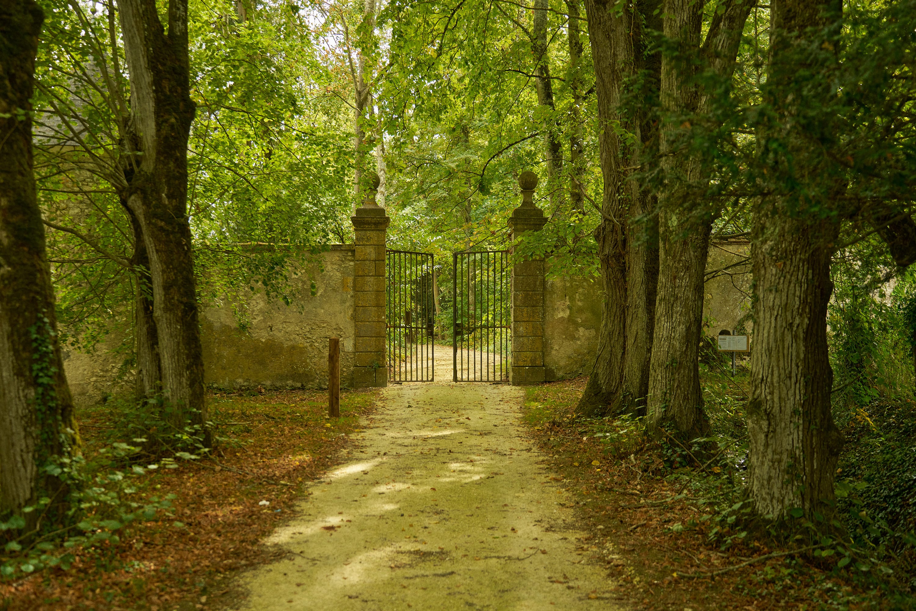 Château de Thauvenay - Image 15