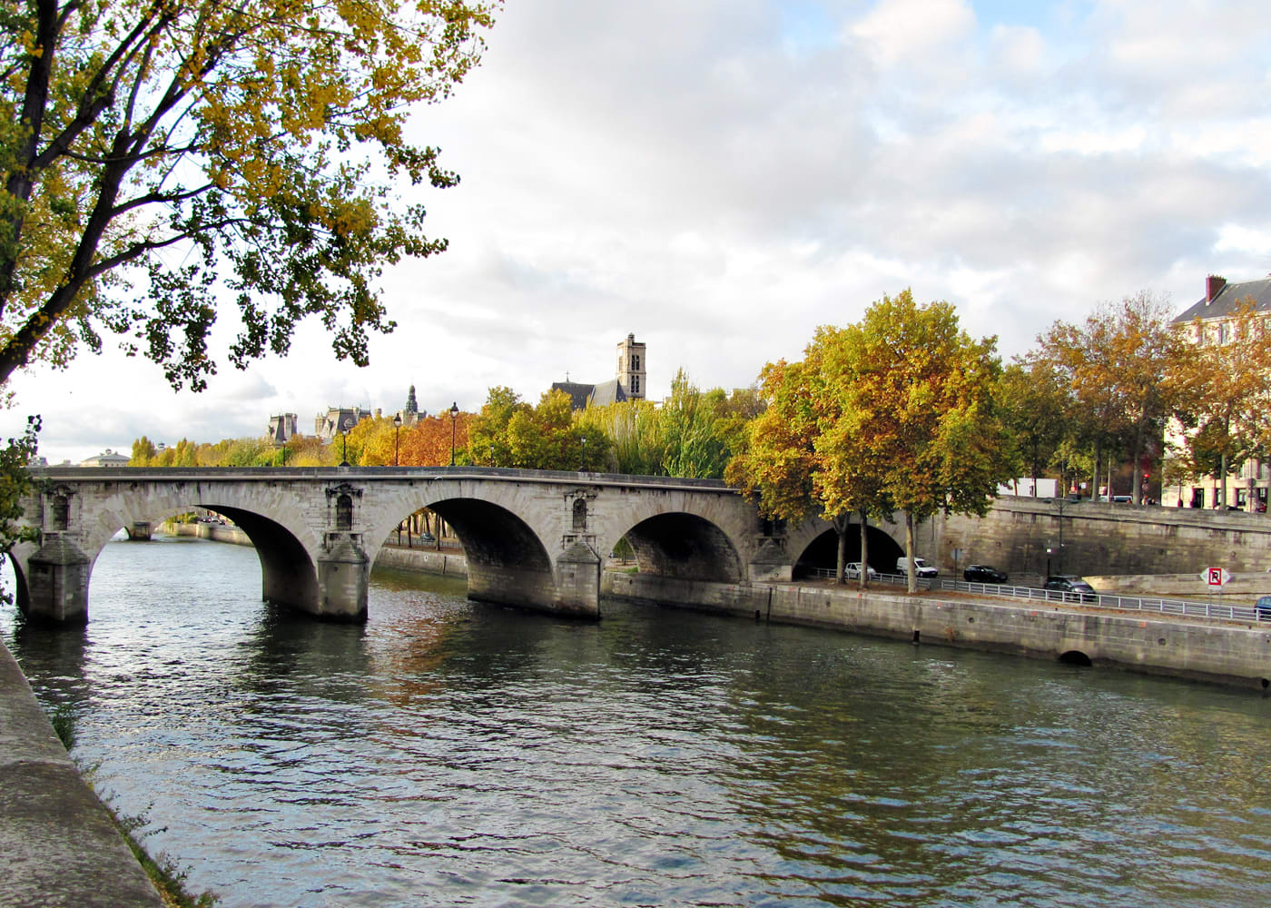 The Seine and Pont Marie in autumn
