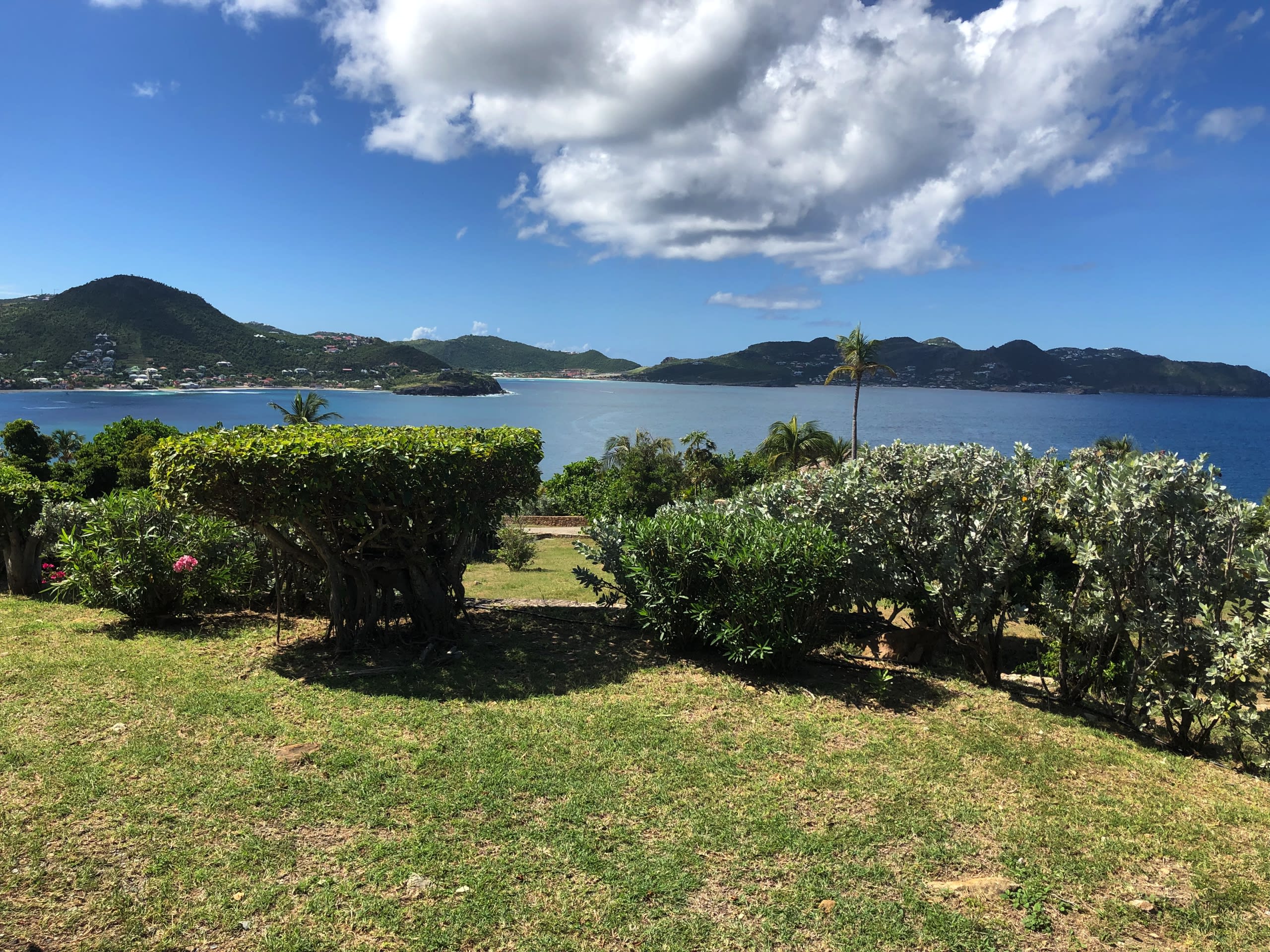 View 7