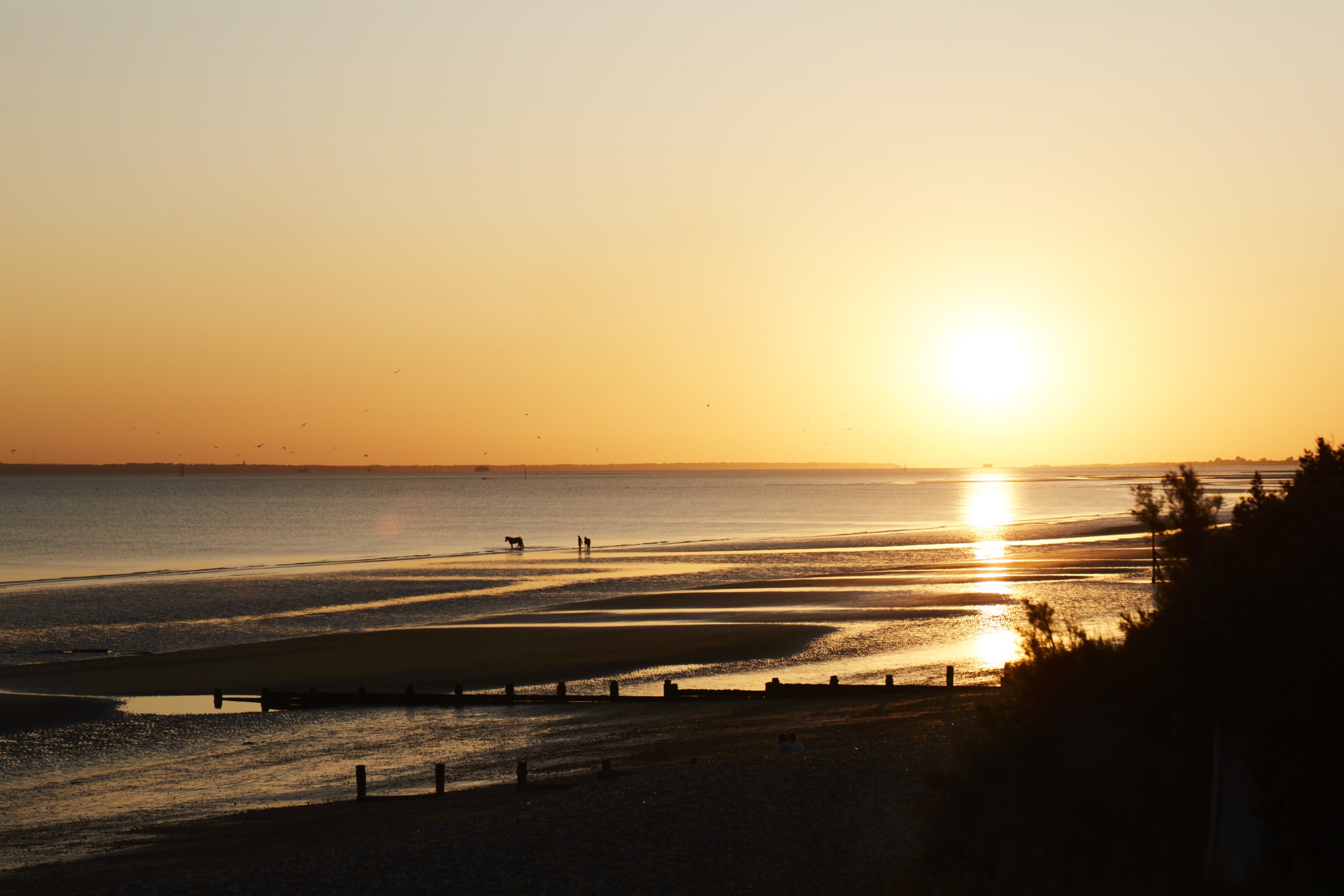 Enjoy breathtaking sunsets from the comfort of our beachfront house in West Wittering