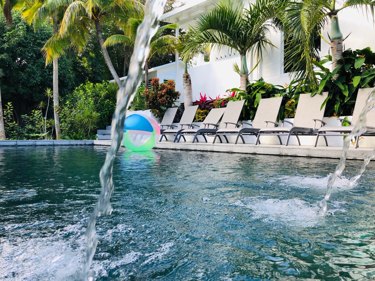 Palm Cottages - The Palm Cottage - LUSH TROPICAL OASIS — Puerto Diablo, Vieques — vacation rental