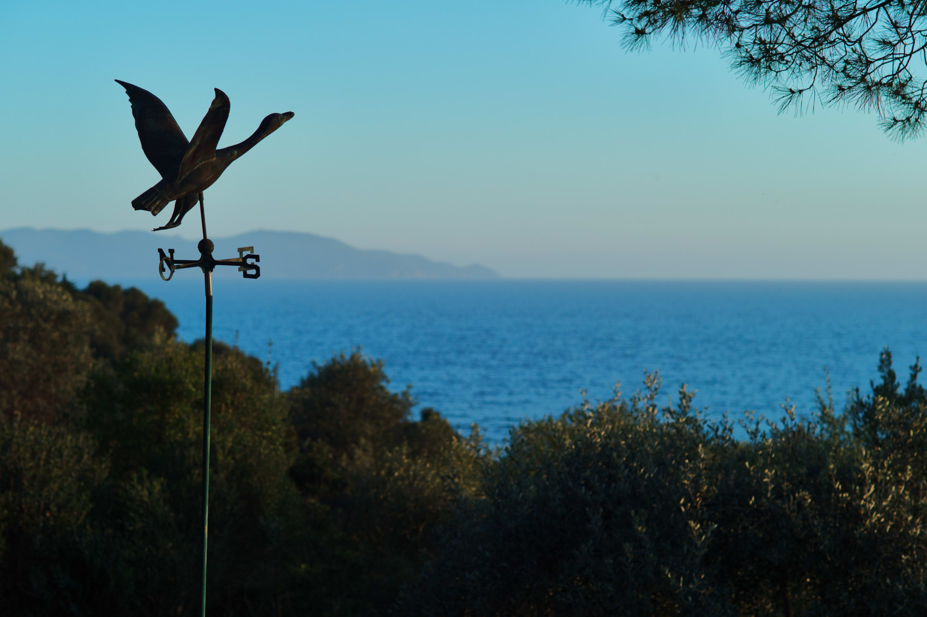 Villa Maremma Mare - Image 49
