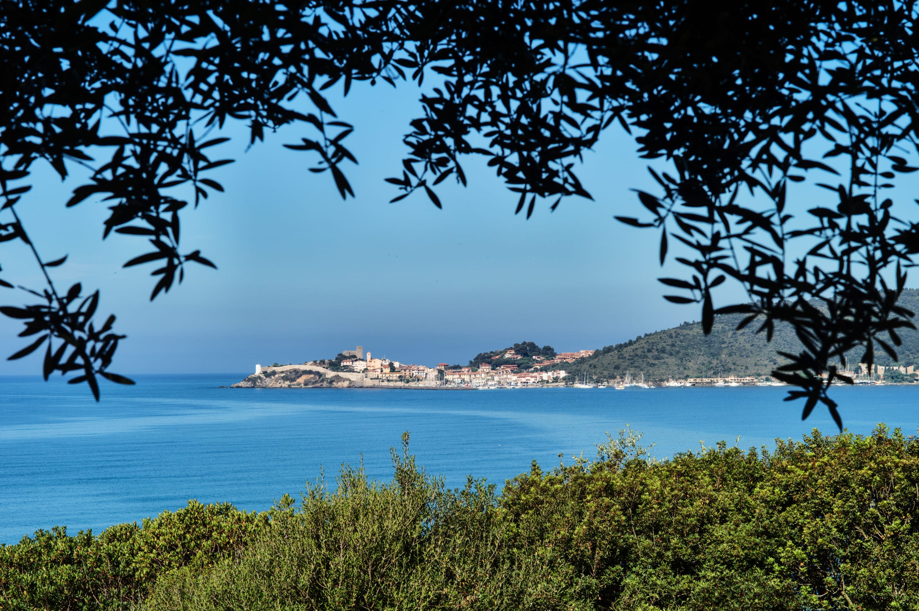 Villa Maremma Mare - Image 2