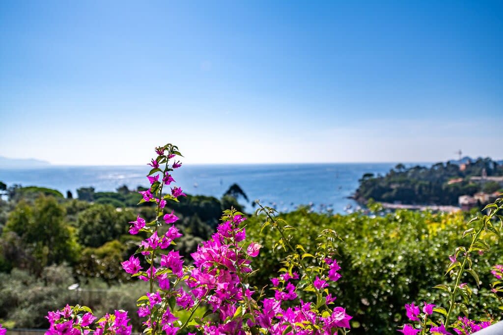 Villa Cristina (Rapallo) — Rapallo, Liguria — vacation rental