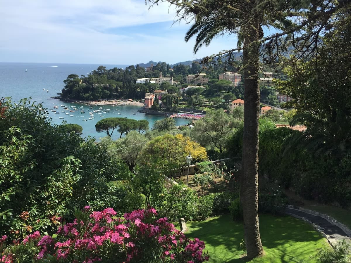 View 10
